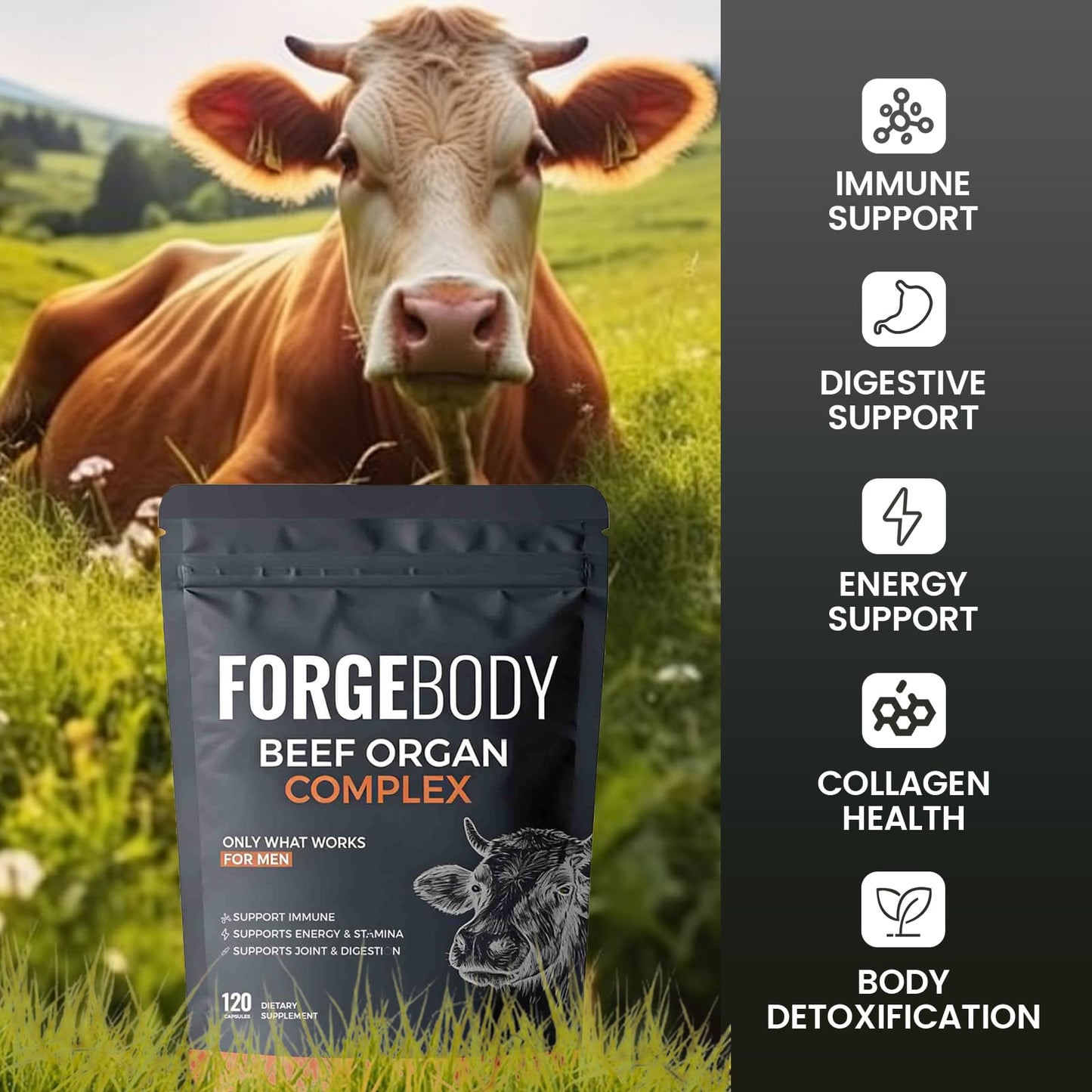 MORANDEE Forgebody Beef Organ Complex Supplement Capsule, 1 Capsule