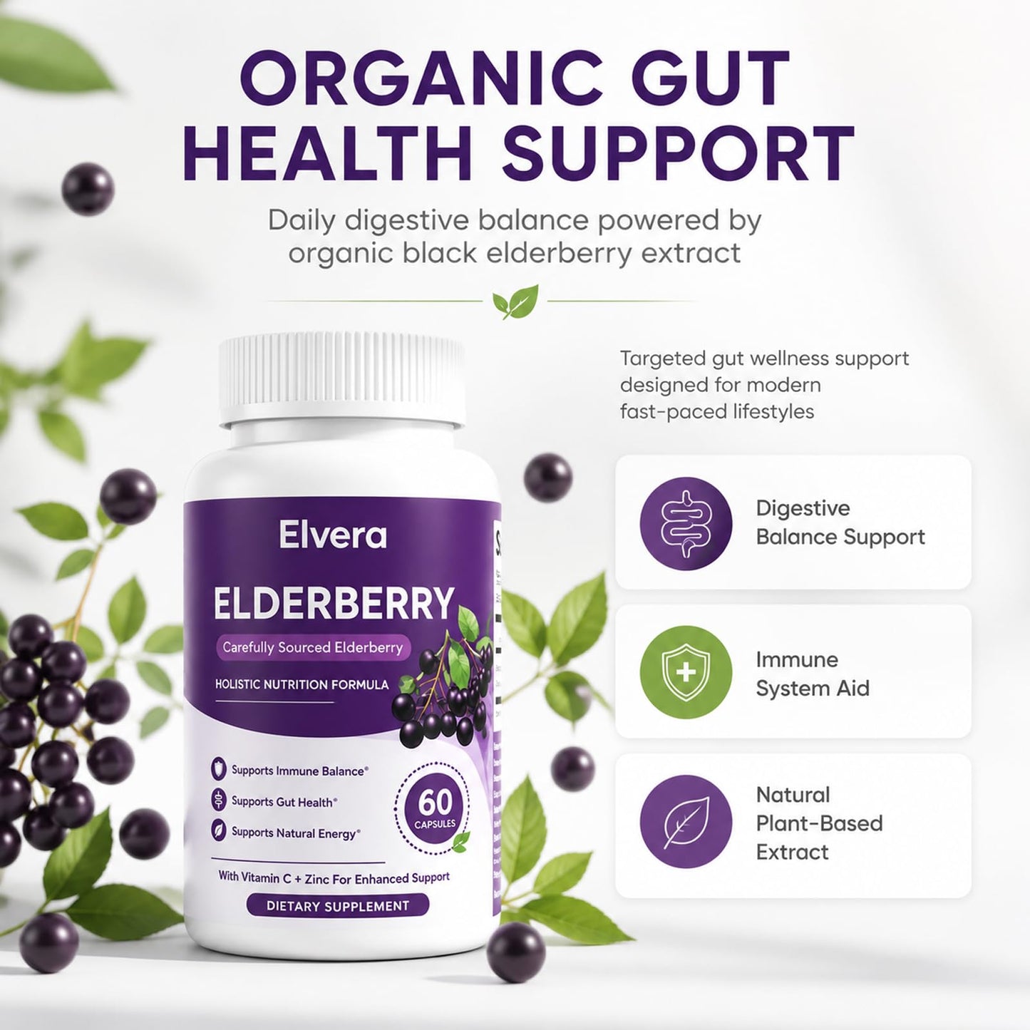 Elvera Organics Elderberry Gut Support Powder 60