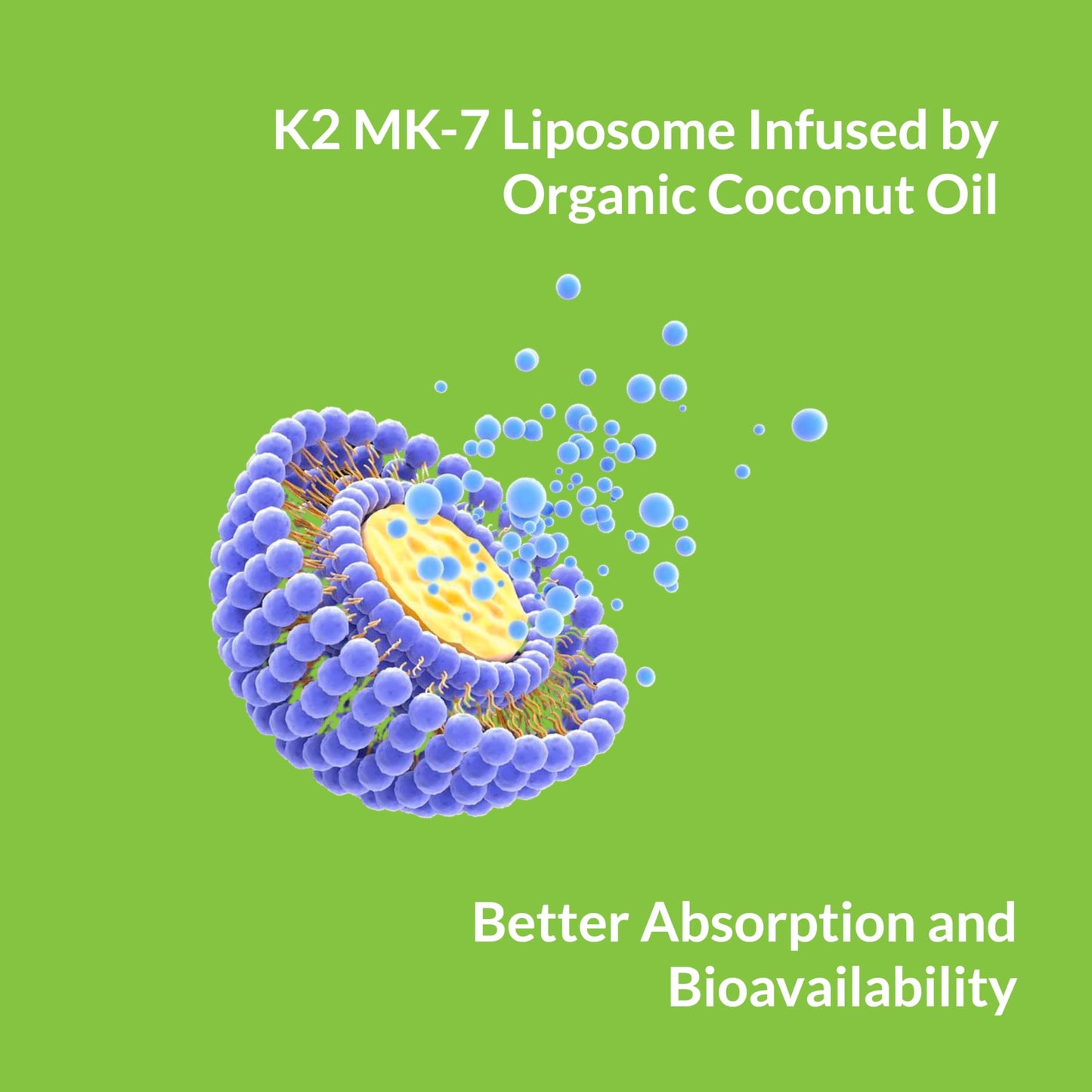 UpNourish Liposomal Vitamin K2 MK7 180 mcg Softgels 180 Count