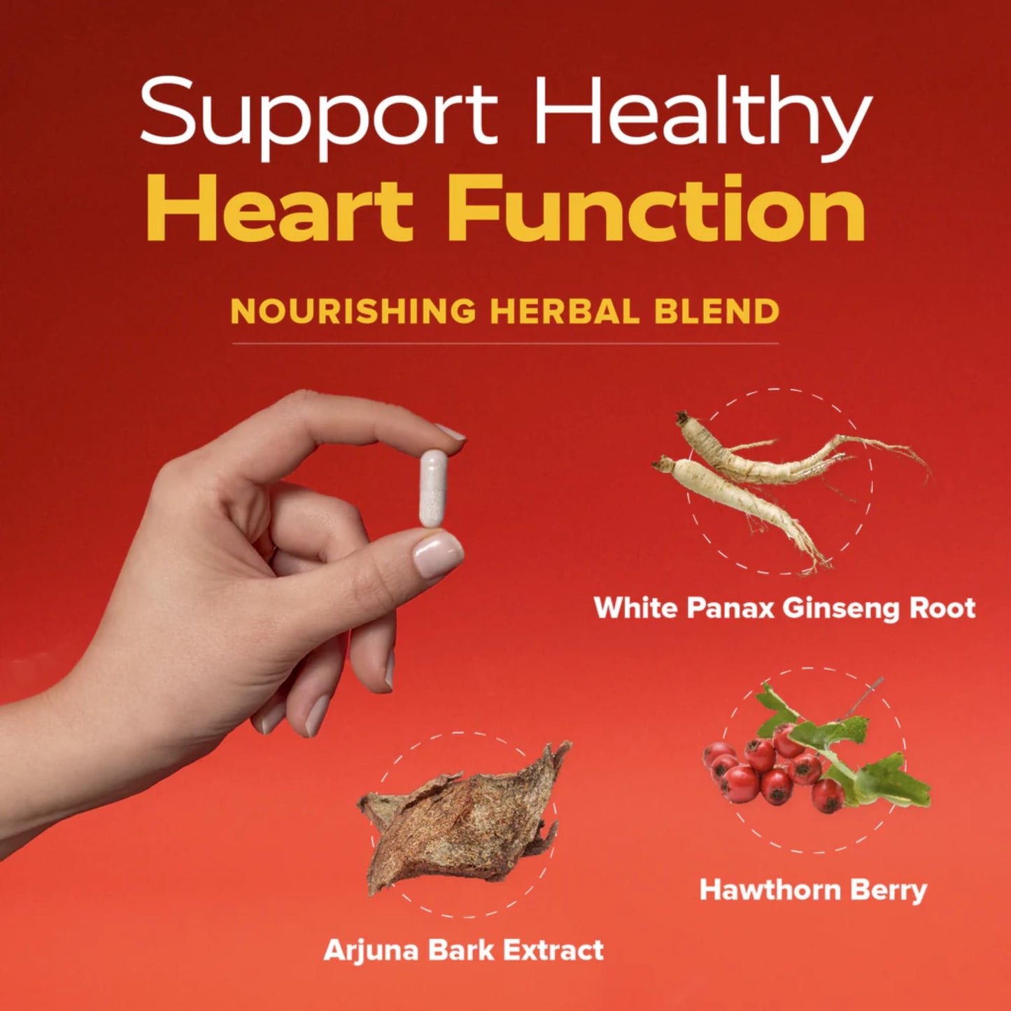 Redd Remedies Heart Strong Tablet 60 Count