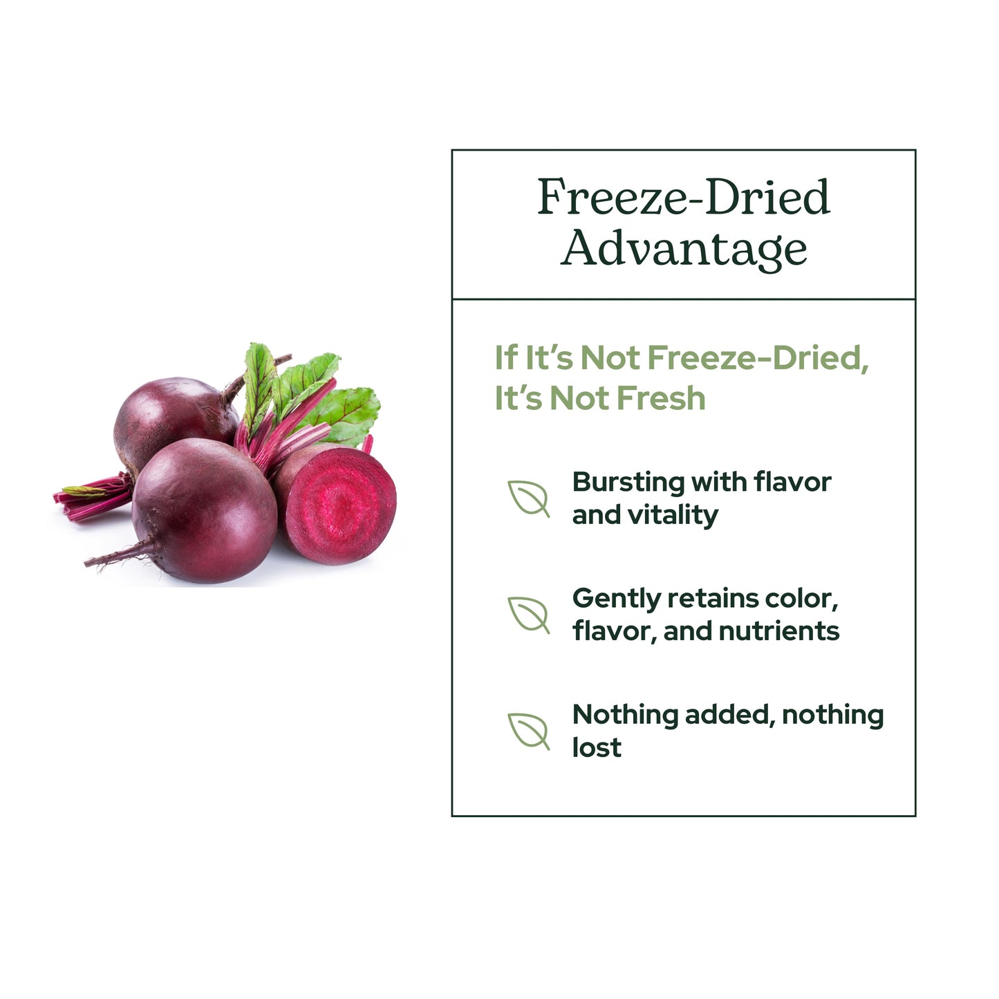 Eclectic Institute Organic Beet Juice Powder 6 oz