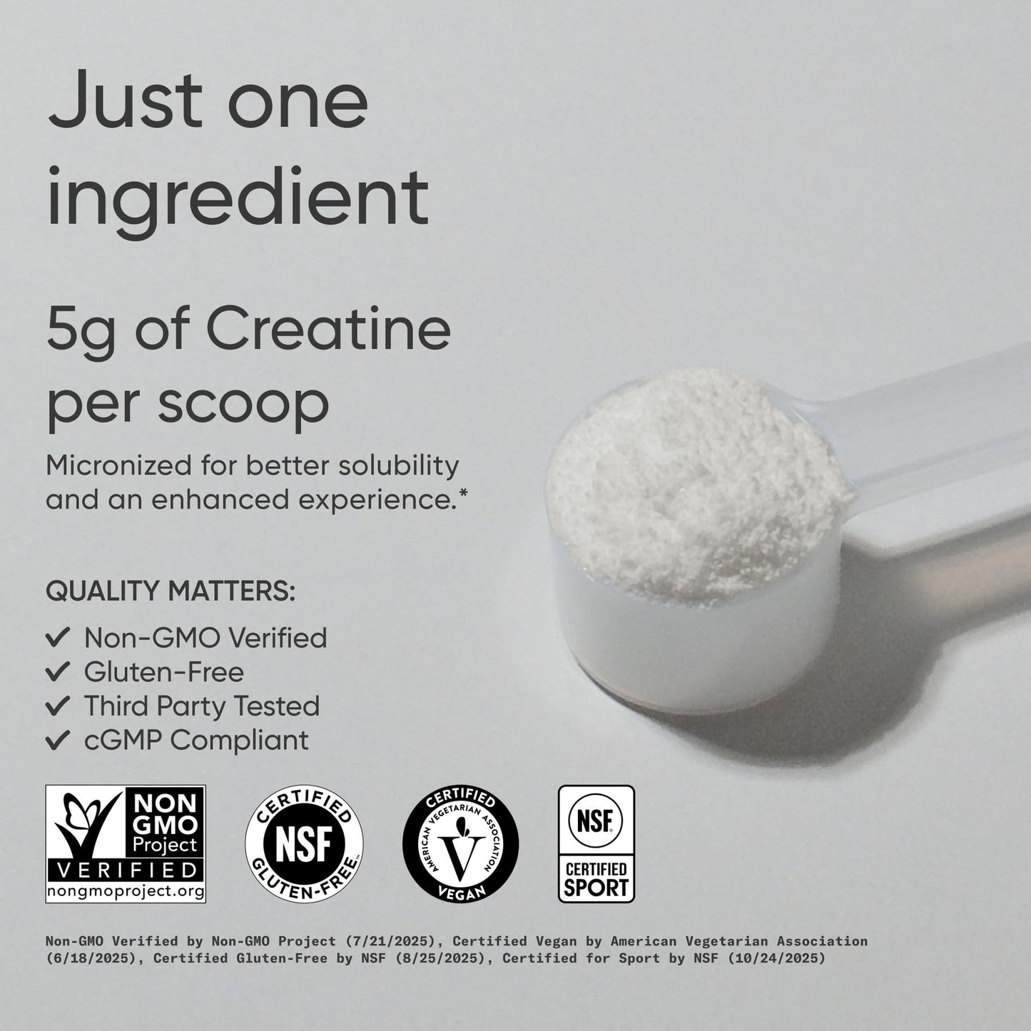 Sports Research Creatine Monohydrate Powder with Creapure, 15.87 oz