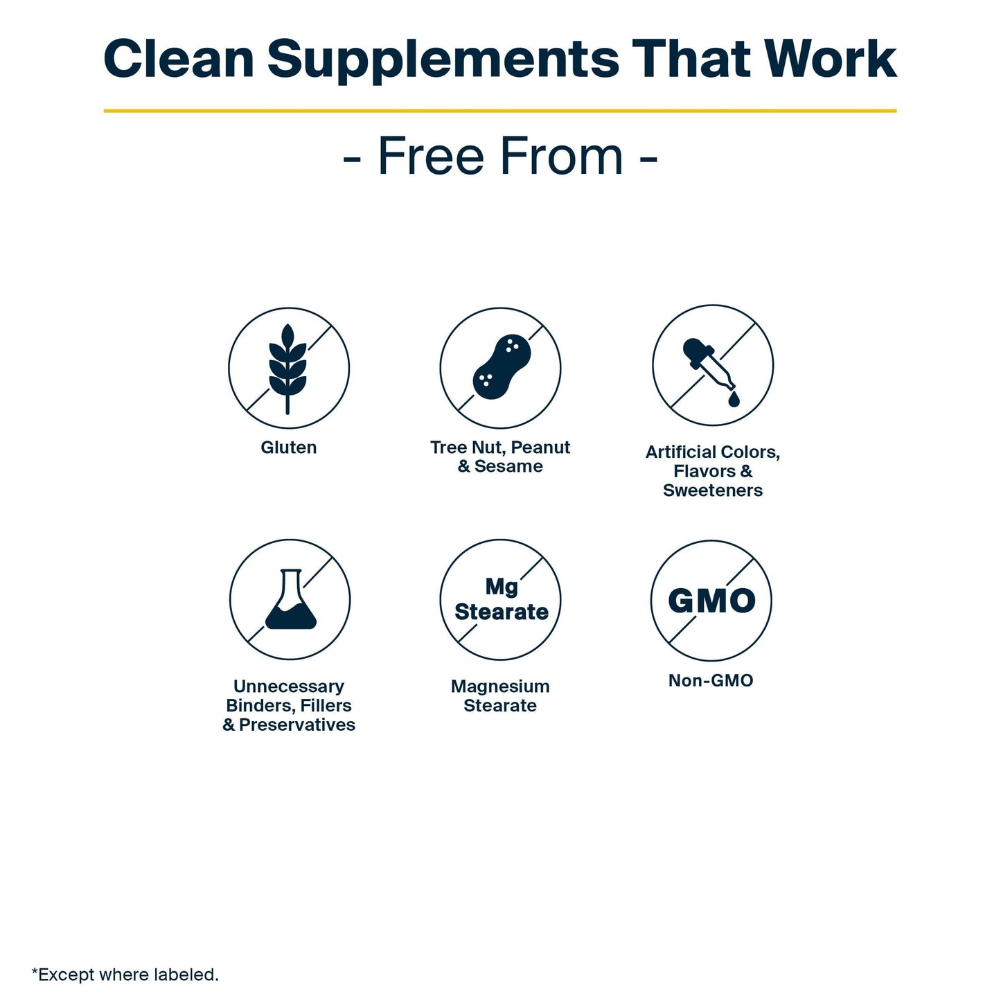 Vital Nutrients GI Repair Powder, 40 Servings