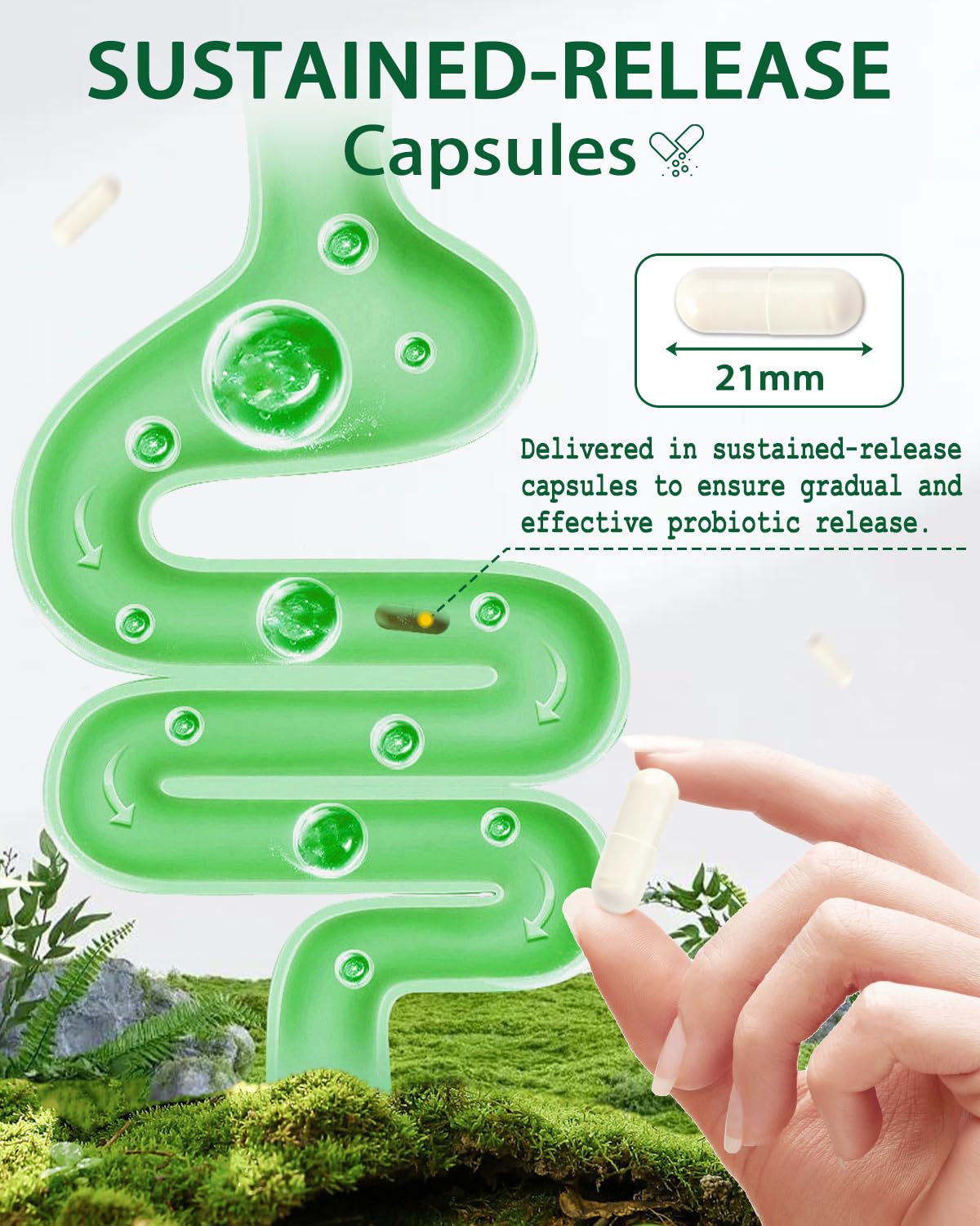 Pucoae Akkermansia Probiotic Supplement – 2 Billion AFU, Delayed Release, Gluten-Free, Gut Health & Microbiome Balance, Weight & Wellness Support for Men and Women, 60 Capsules