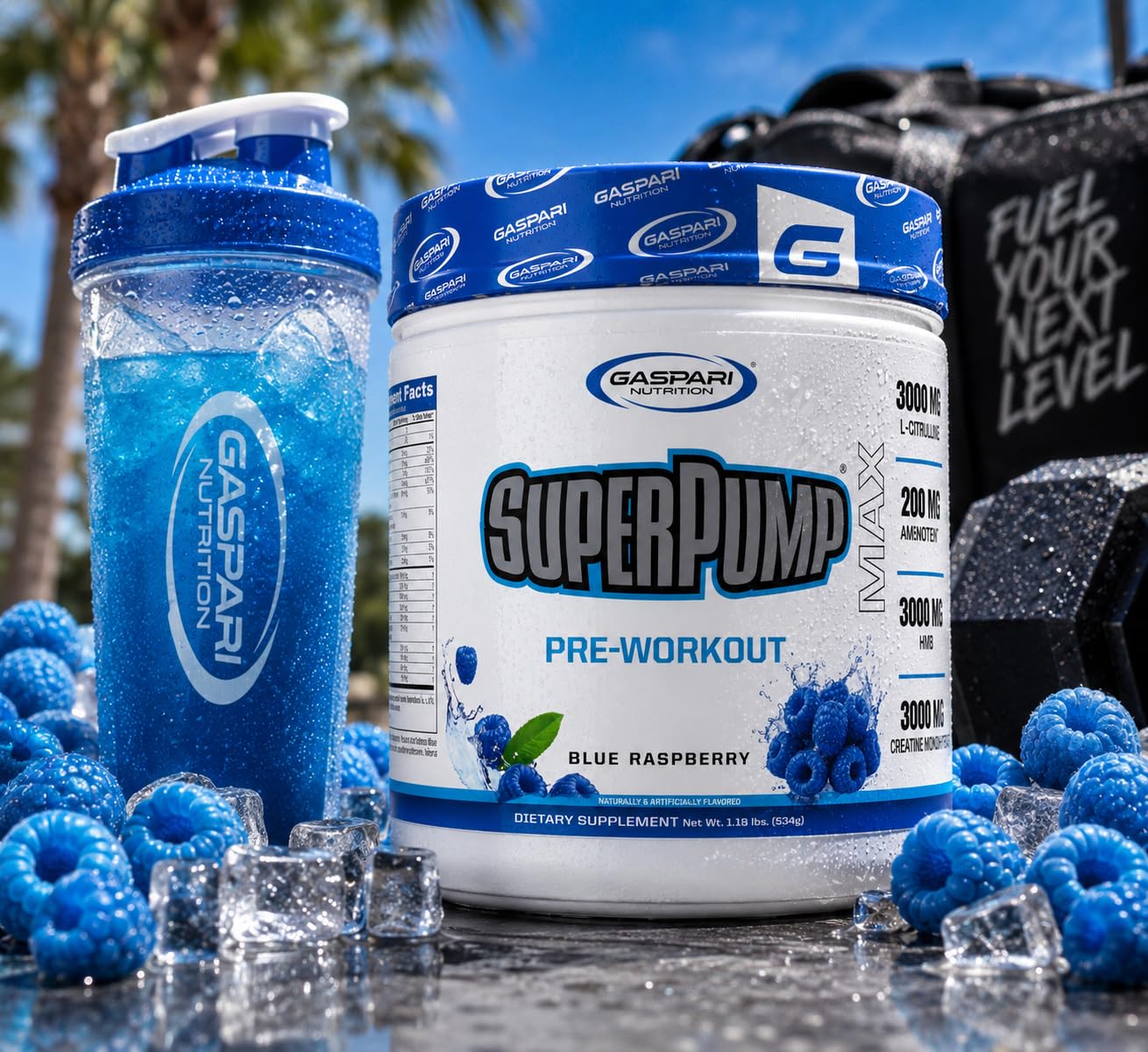 Gaspari Nutrition SuperPump MAX Pre Workout Powder 18.24