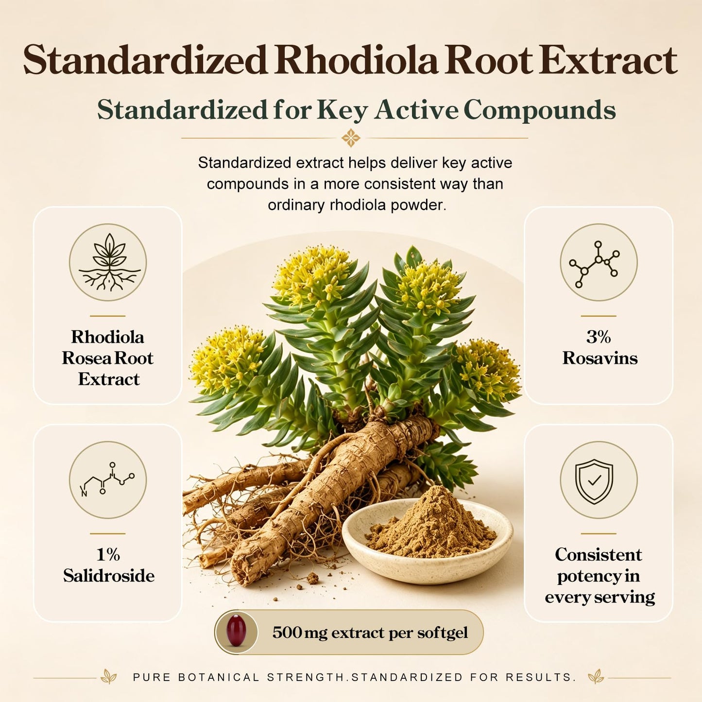 ZIPINKJ Rhodiola Rosea Supplement 500mg for Stress & Focus Support Softgels 60 Count