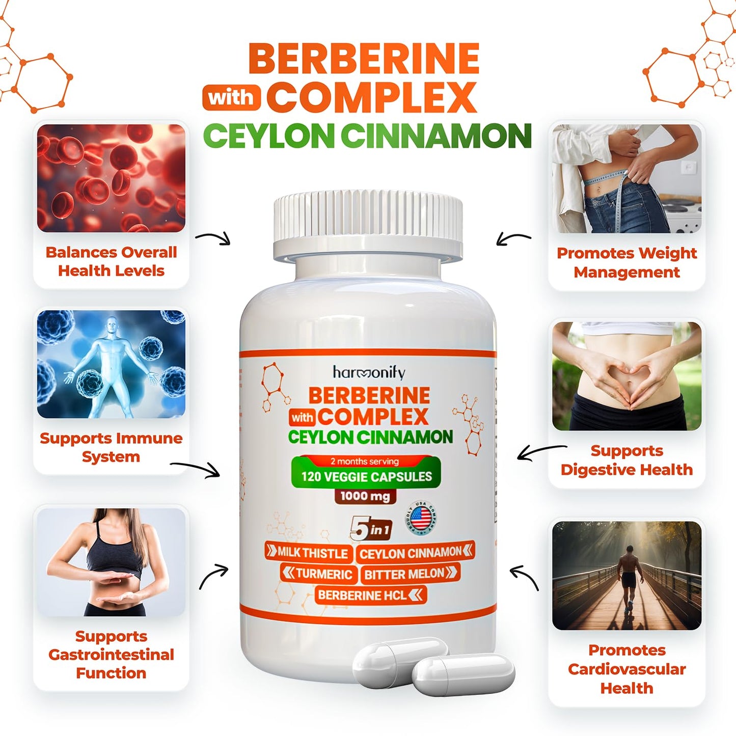 HARMONIFY Berberine Supplement with Ceylon Cinnamon, Milk Thistle, Turmeric, Bitter Melon Complex, 120 Capsules