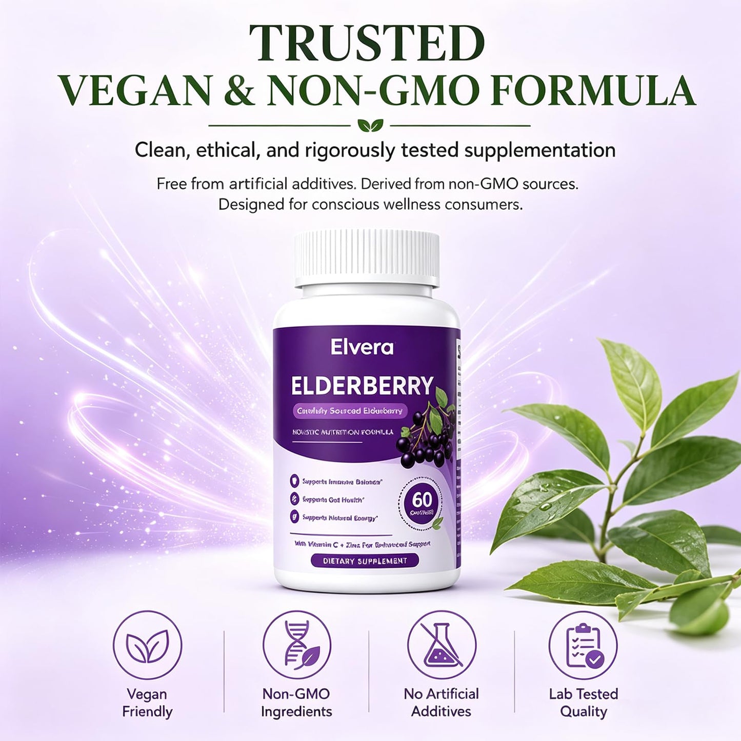 Elvera Organics Elderberry Gut Support Powder 60