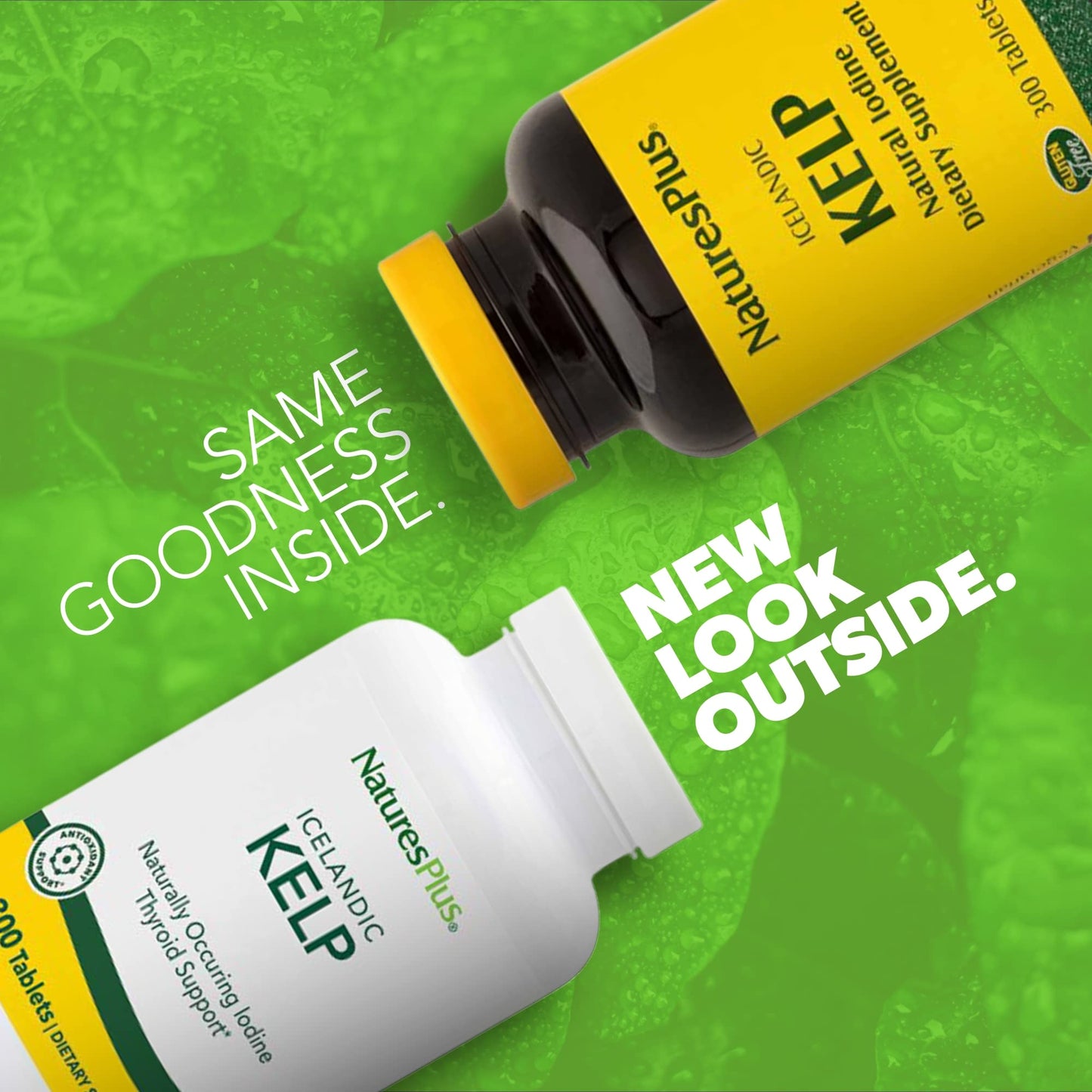 NaturesPlus Kelp 300 Tablets