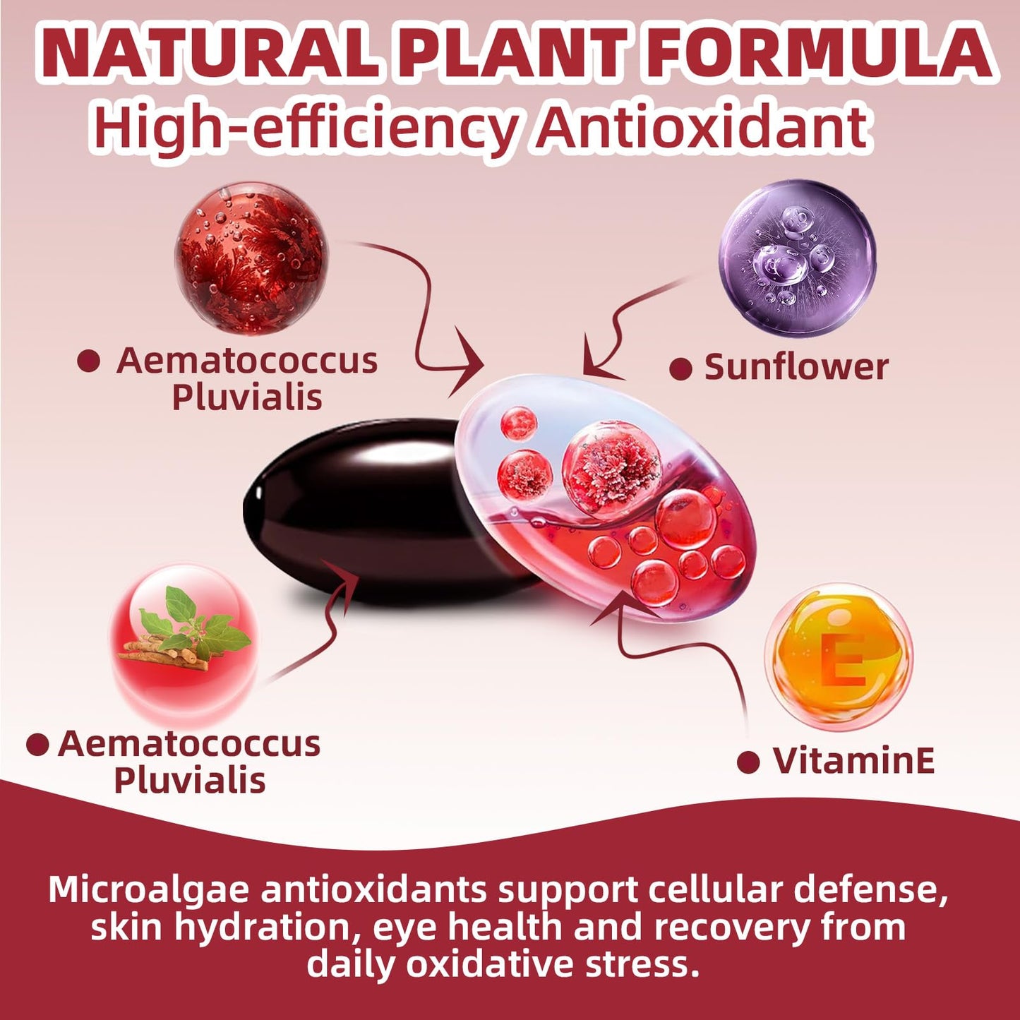 Biorizvo Astaxanthin 12mg with MCT Oil Capsule 600 Capsules