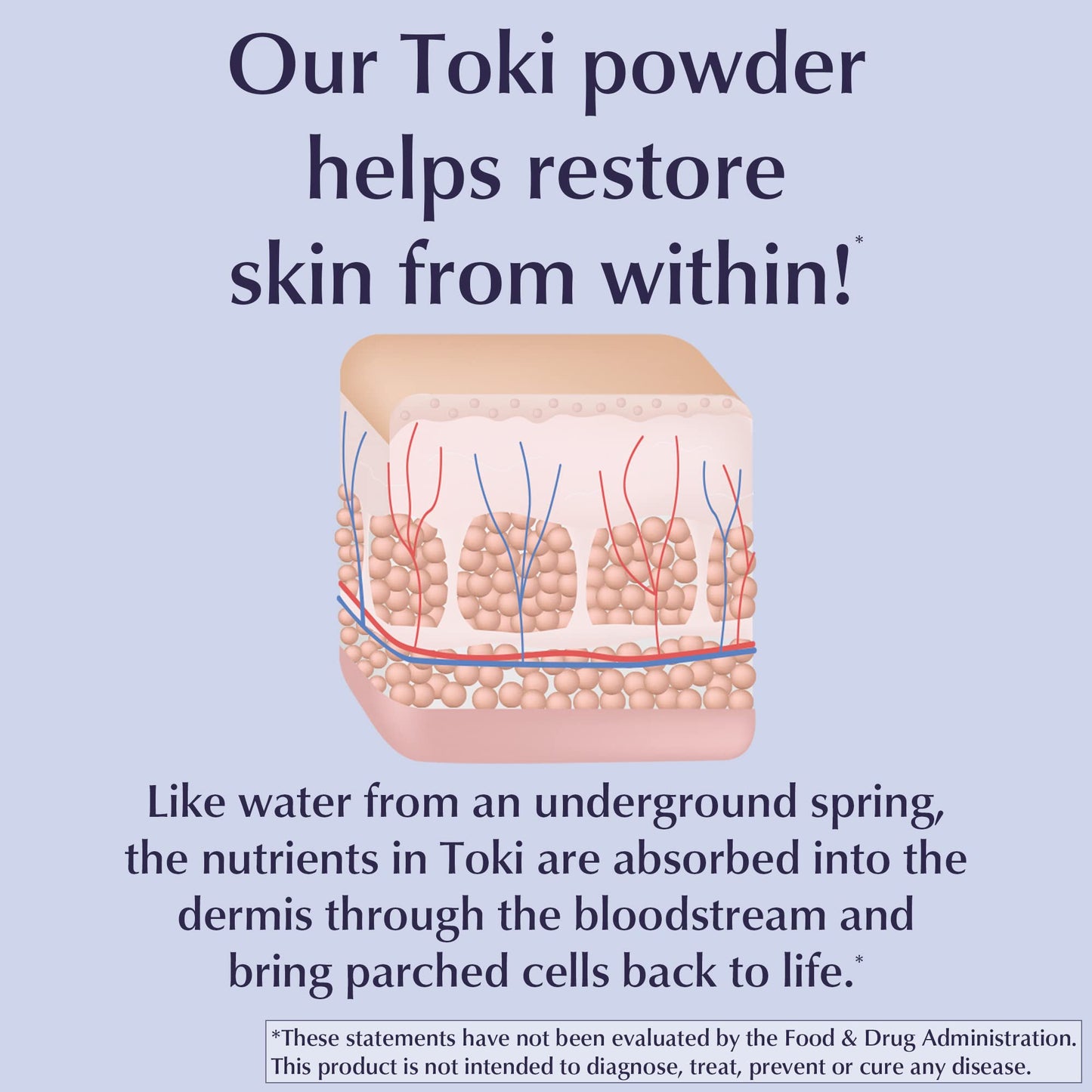 LANE LABS Toki Powder Collagen Supplement for Skin 180
