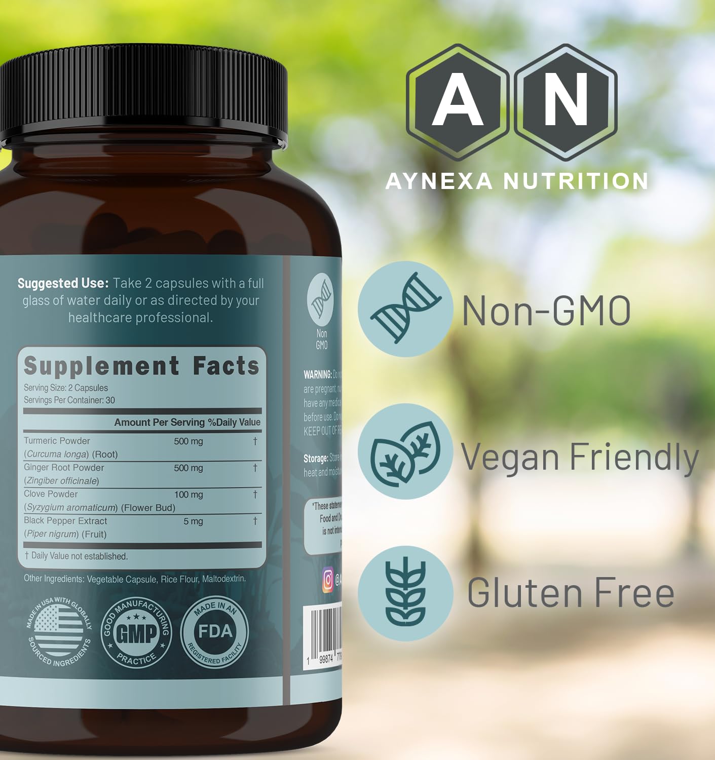 AYNEXA NUTRITION Balance Turmeric Curcumin 500mg + Ginger Root 500mg with Black Pepper Capsule, 60 Capsules