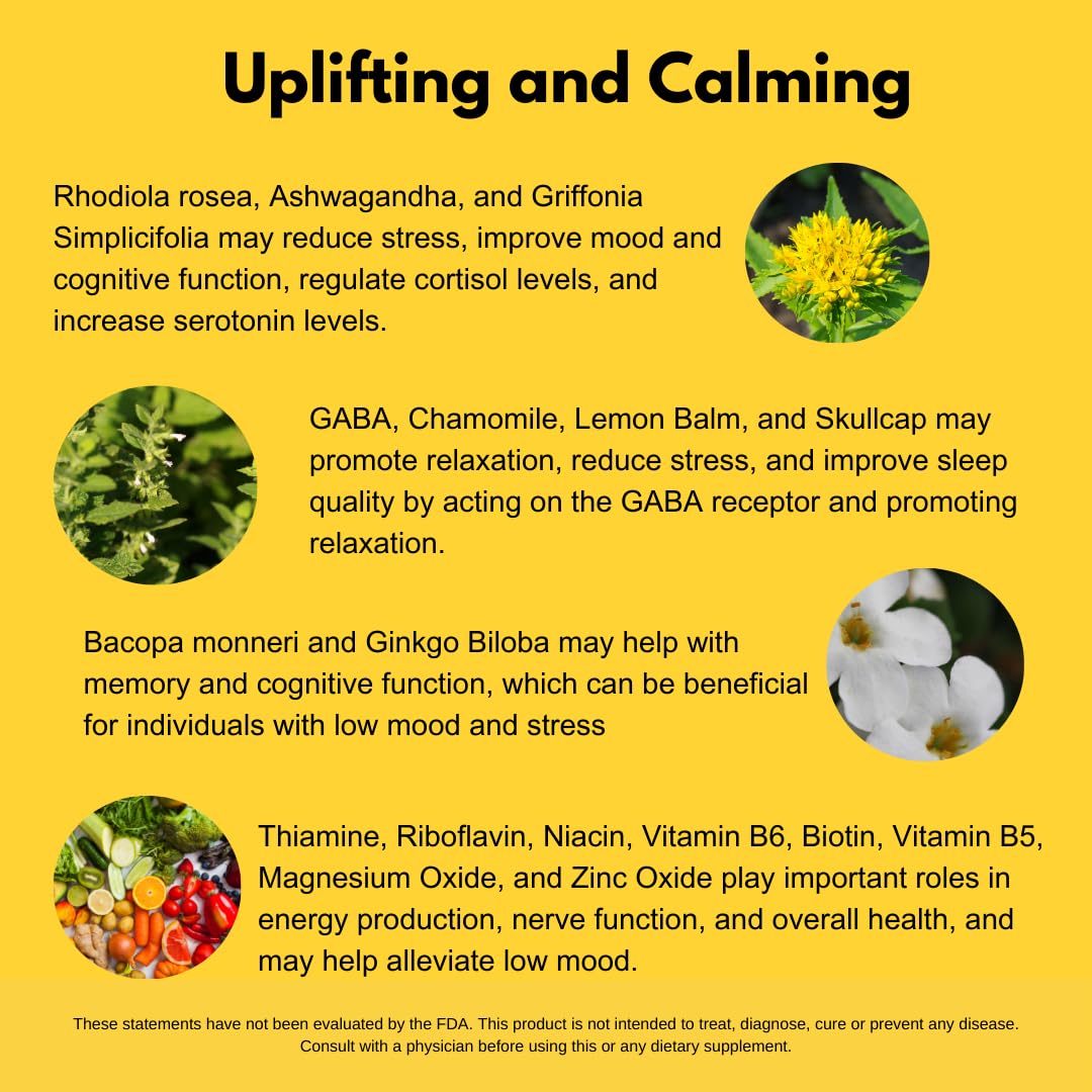 4BETTERMOOD Positivity & Stamina Capsule 60 Capsules