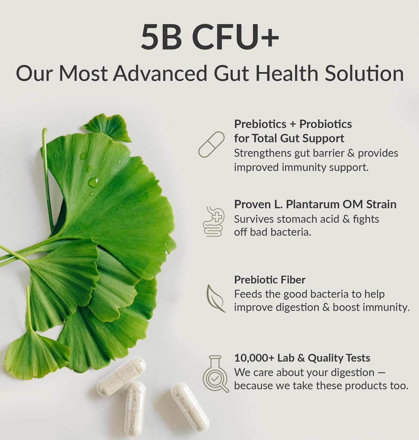 BIOptimizers Digestive Health Bundle 60 Vegan Capsules