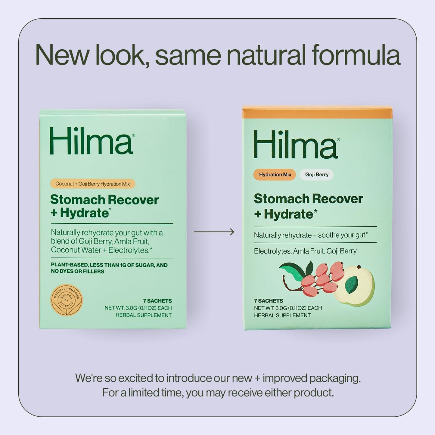 Hilma Stomach Recover and Hydrate Organic Electrolytes Powder for Hydration with Prebiotics and Gastroprotective Herbs, Rebalance Gut with Goji Berry and Coconut Water, Doctor-Formulated, 7