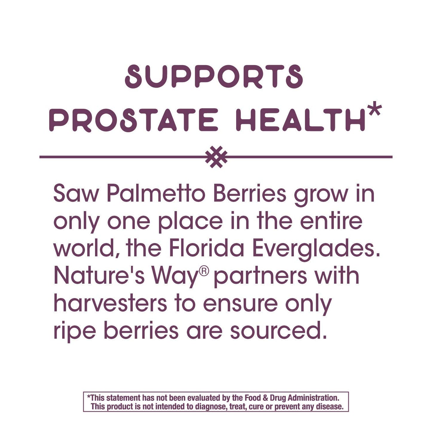 Nature's Way Saw Palmetto Extract Softgels, 60 Softgels, 3 Pack
