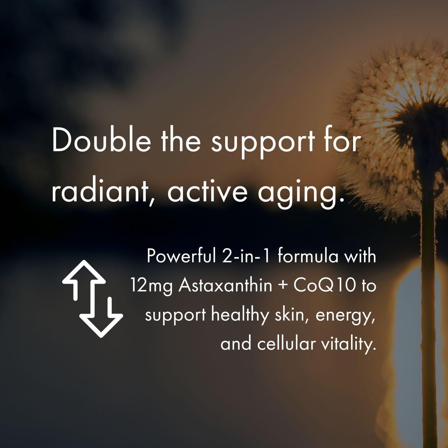 NAOMI Extra Strength Astaxanthin 12mg + CoQ10 200mg Softgel, 30 Count