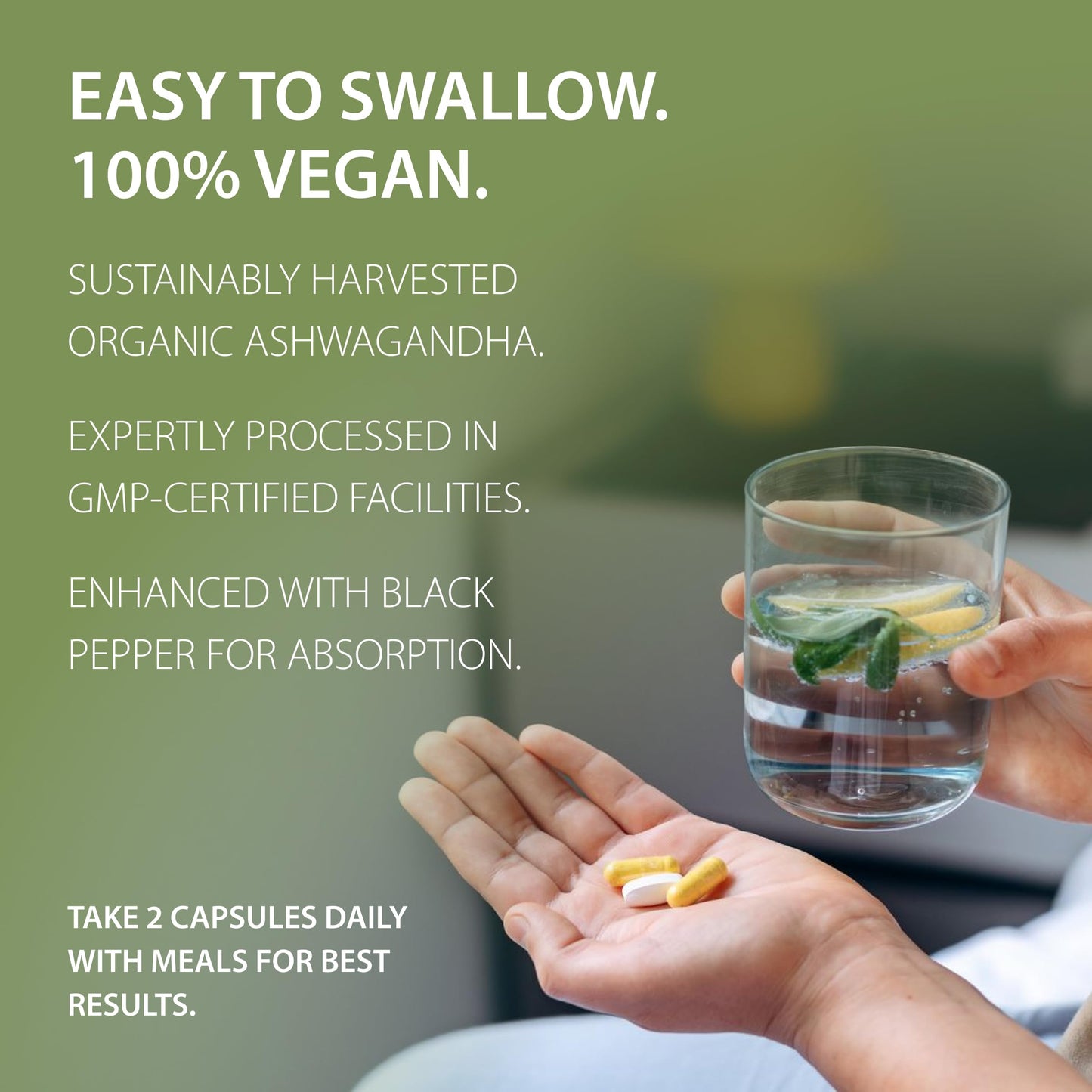 Tattva's Herbs Organic Ashwagandha Capsules 1 Count