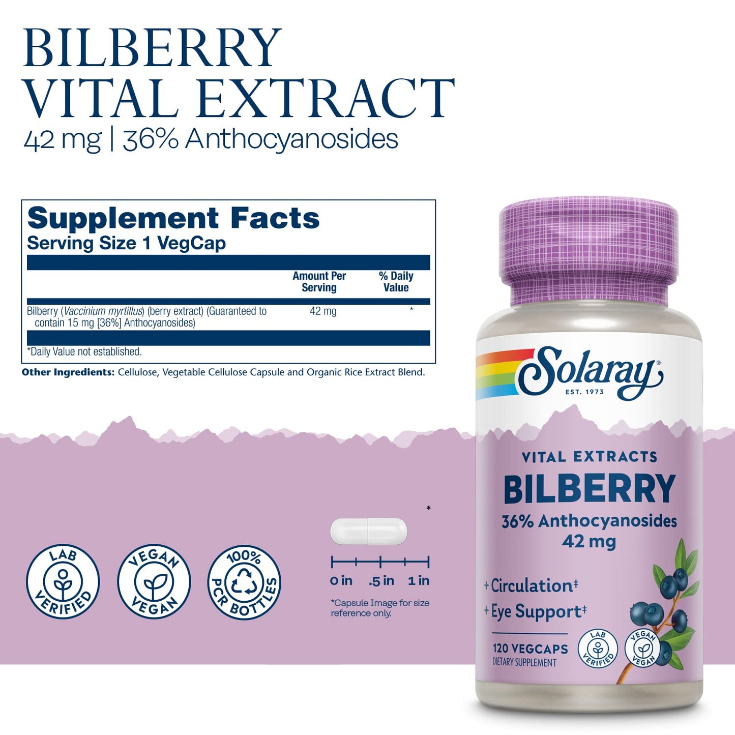 Solaray Bilberry Berry Extract 42 mg Eye Health & Circulation Support with 36% Anthocyanosides, Vegan, 120 VegCaps
