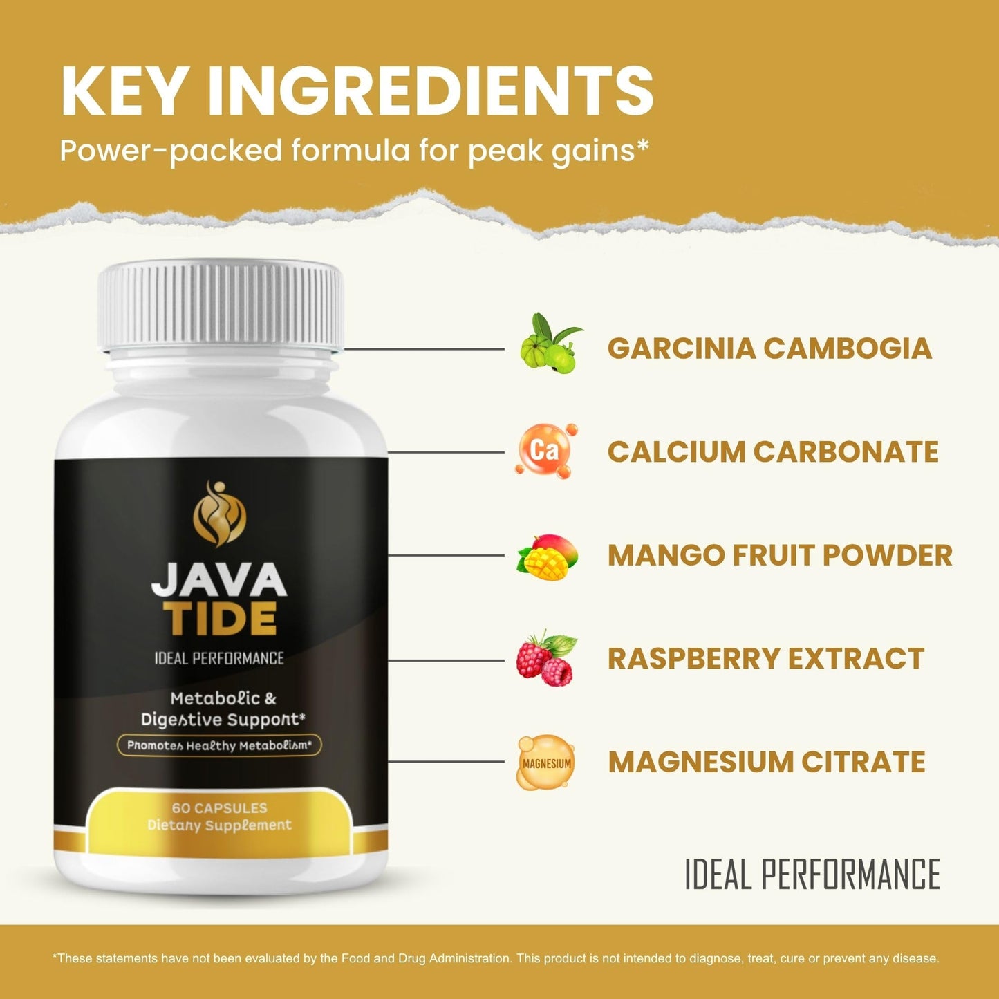 IDEAL PERFORMANCE Java Tide Capsule 300 Capsules