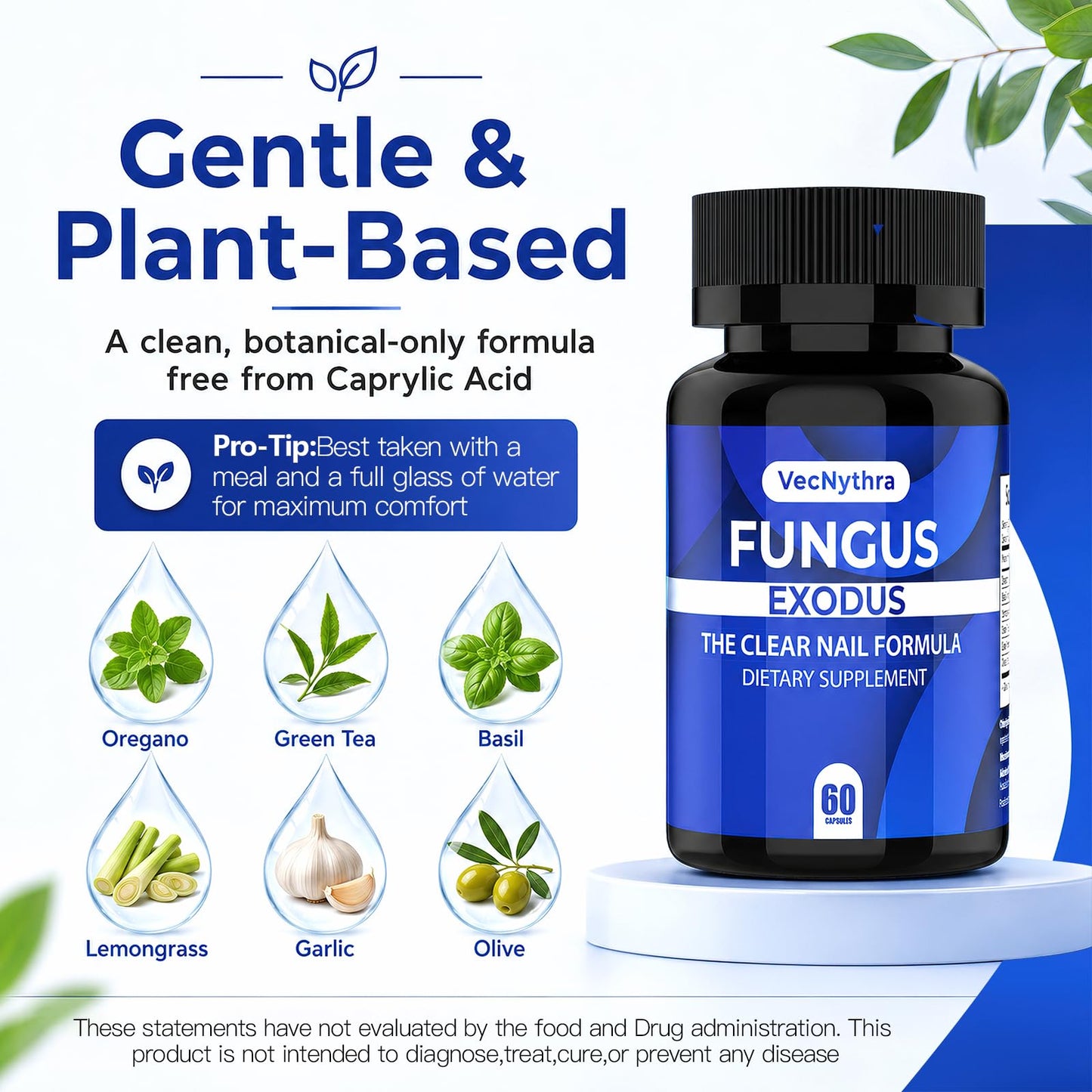 Jitesy Fungus Exodus - Botanical Support for Clear Nails - Plant-Based Dietary Supplement, 60 Capsules