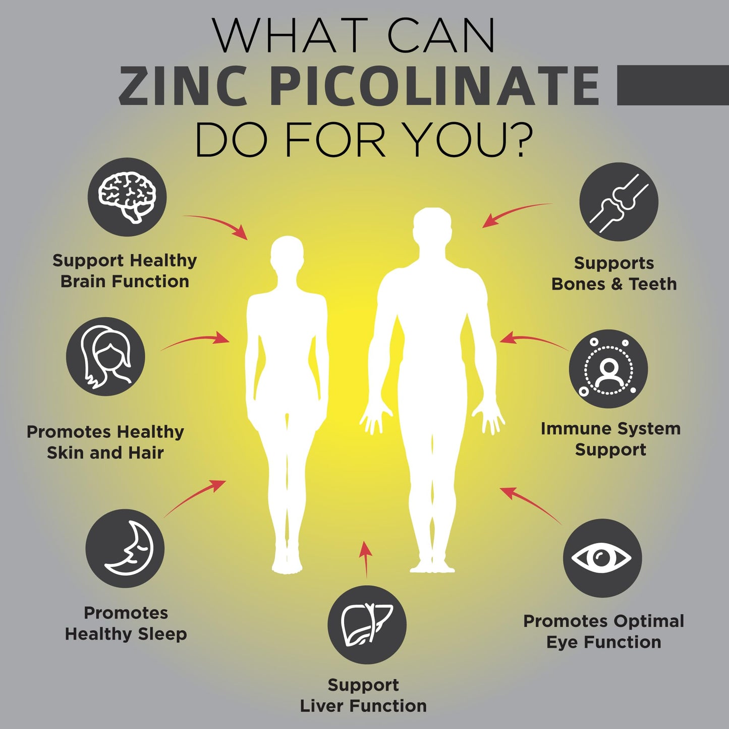 OmniBiotics Zinc Picolinate 30mg Supplement 180 Capsules