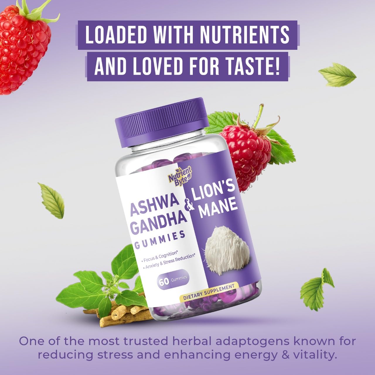 Nutrient Byte Lionemane and Ashwagandha Gummies Adaptogenic Mushroom Blend with Rhodiola, Bacopa & Holy Basil – Brain, Mood & Immune Support for Adults – Vegan – 60 Gummies