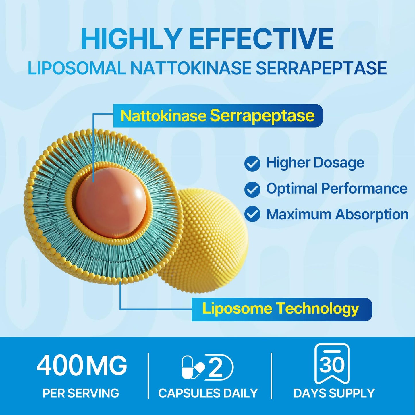 Naering Liposomal Nattokinase 12,000 FU Serrapeptase 360,000 SPU Enzyme Supplement - Enriched with Synergistic Enzymes and Nutrient Blend & Inulin for Circulatory, Gut, Digestion 60 Capsules