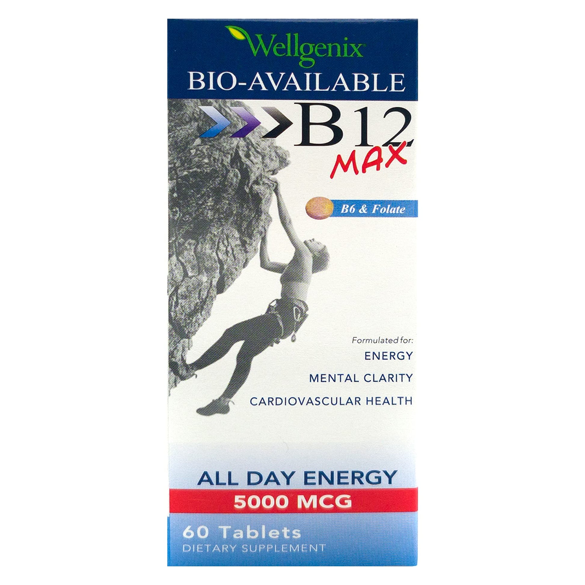 Wellgenix Bio-Available Sublingual B12 B6 Folate Vitamin Formulated for High Absorption - Nutritional Multivitamin Supplement Tablet 60 Count