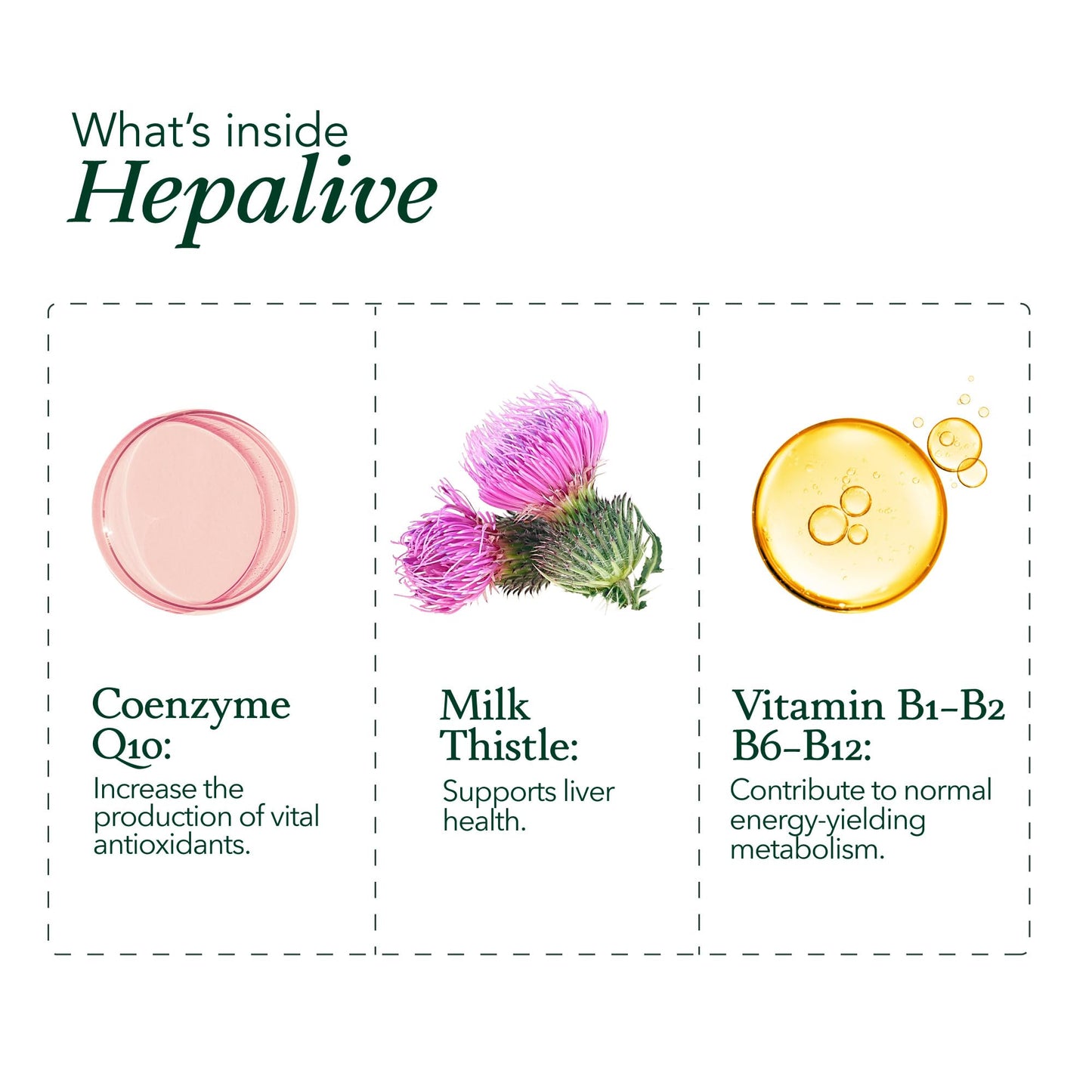 Vall Natural Products HepaLive Forte Capsule 1 Count