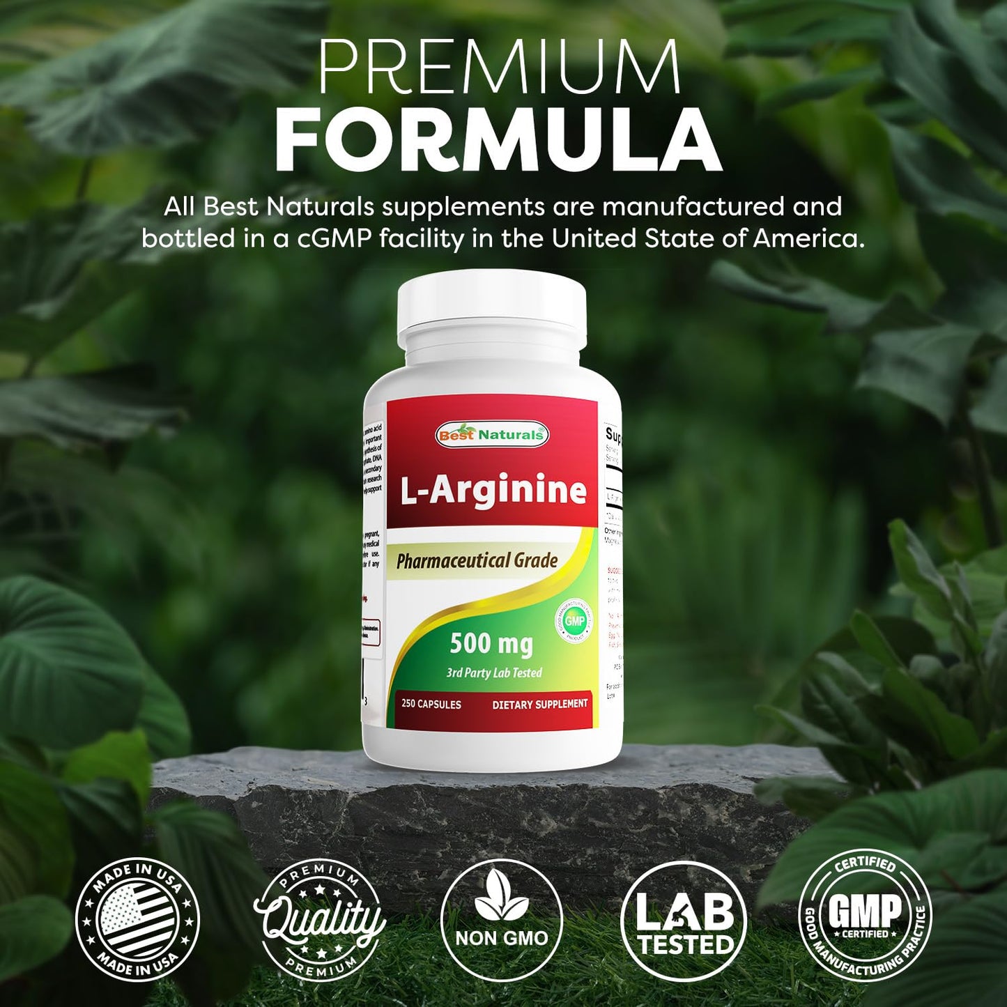 Best Naturals L-Arginine 500mg Capsule, 250 Count (Pack of 2)