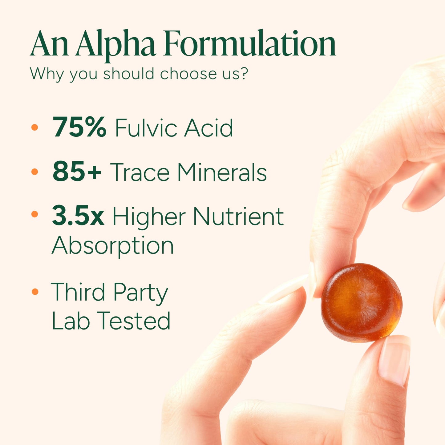 ROOT LABS 10-in-1 Alpha Shilajit Gummies 60 Count