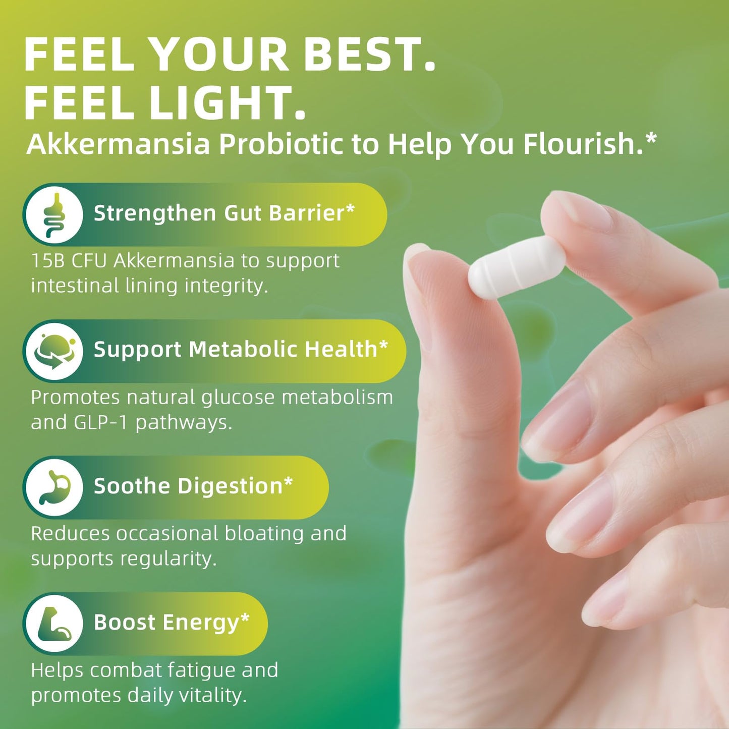 GREENPEOPLE Akkermansia Probiotics 15B CFU for Gut Function, 60 Capsules