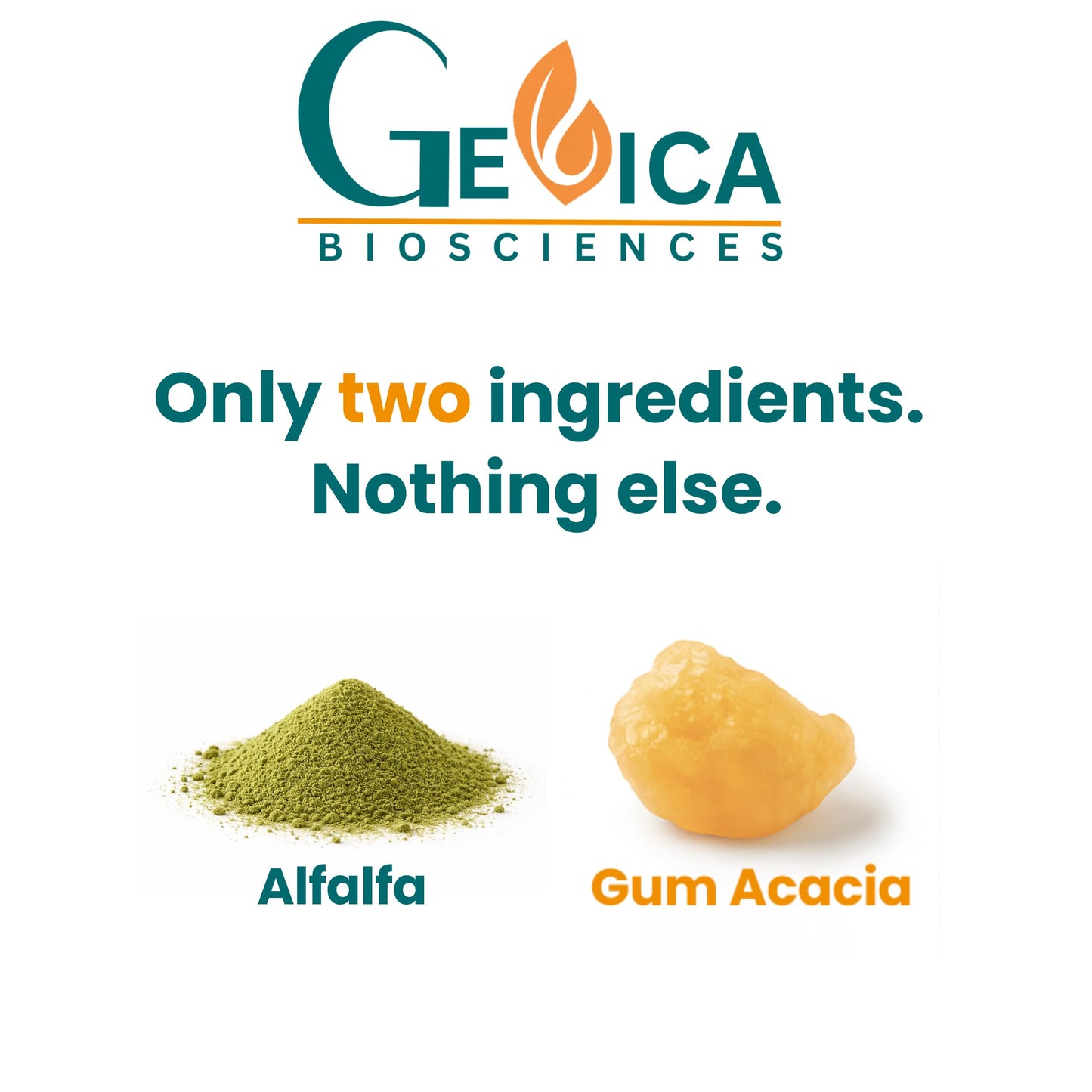 GeVica Biosciences Alfalfa Supplement Caplets 90