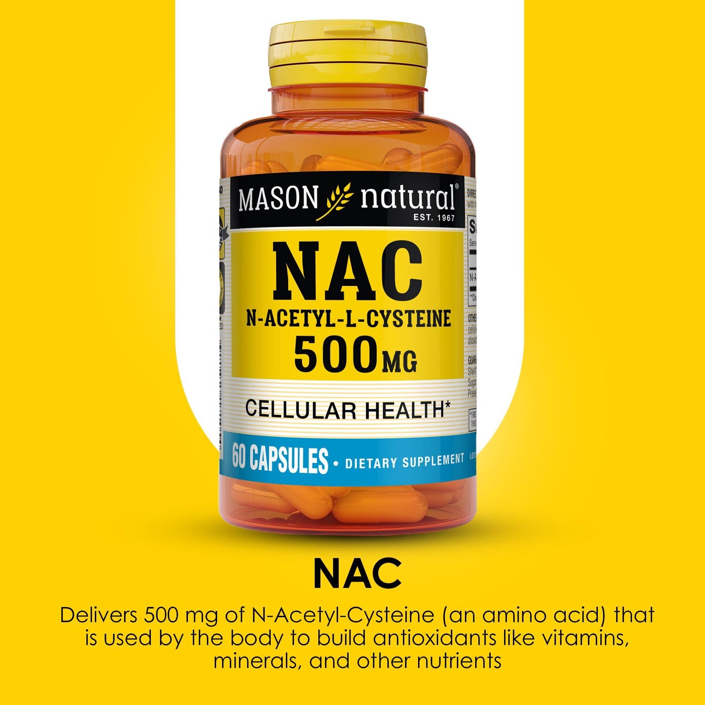 MASON NATURAL N-Acetyl-L-Cysteine 500 mg Capsules, 60 Count