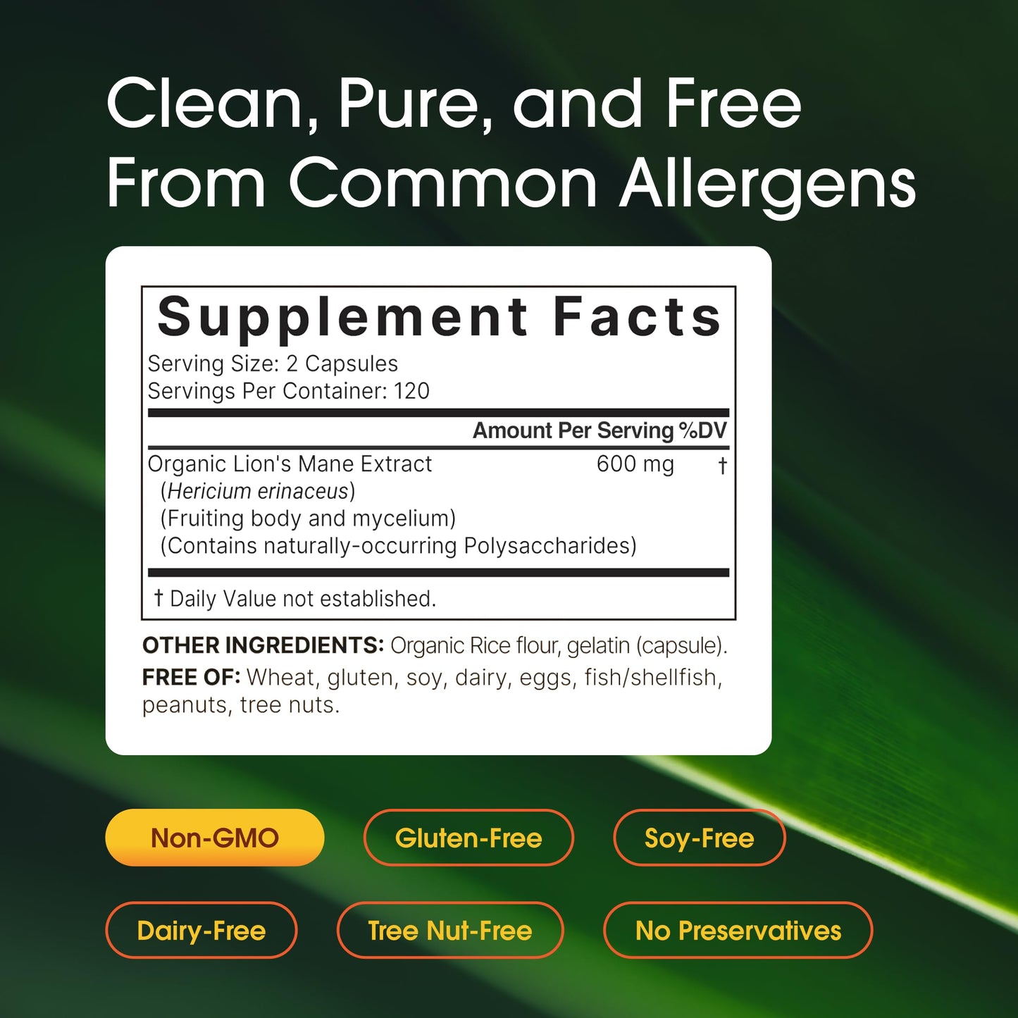 NatureBell Lion’s Mane 240 Capsules