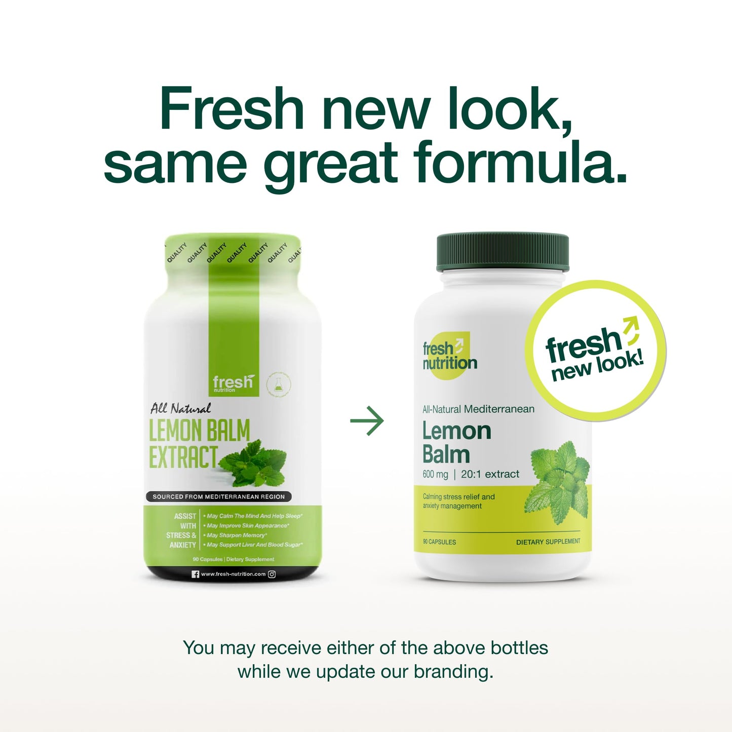 Fresh Nutrition Lemon Balm Extract Capsules 90 Count
