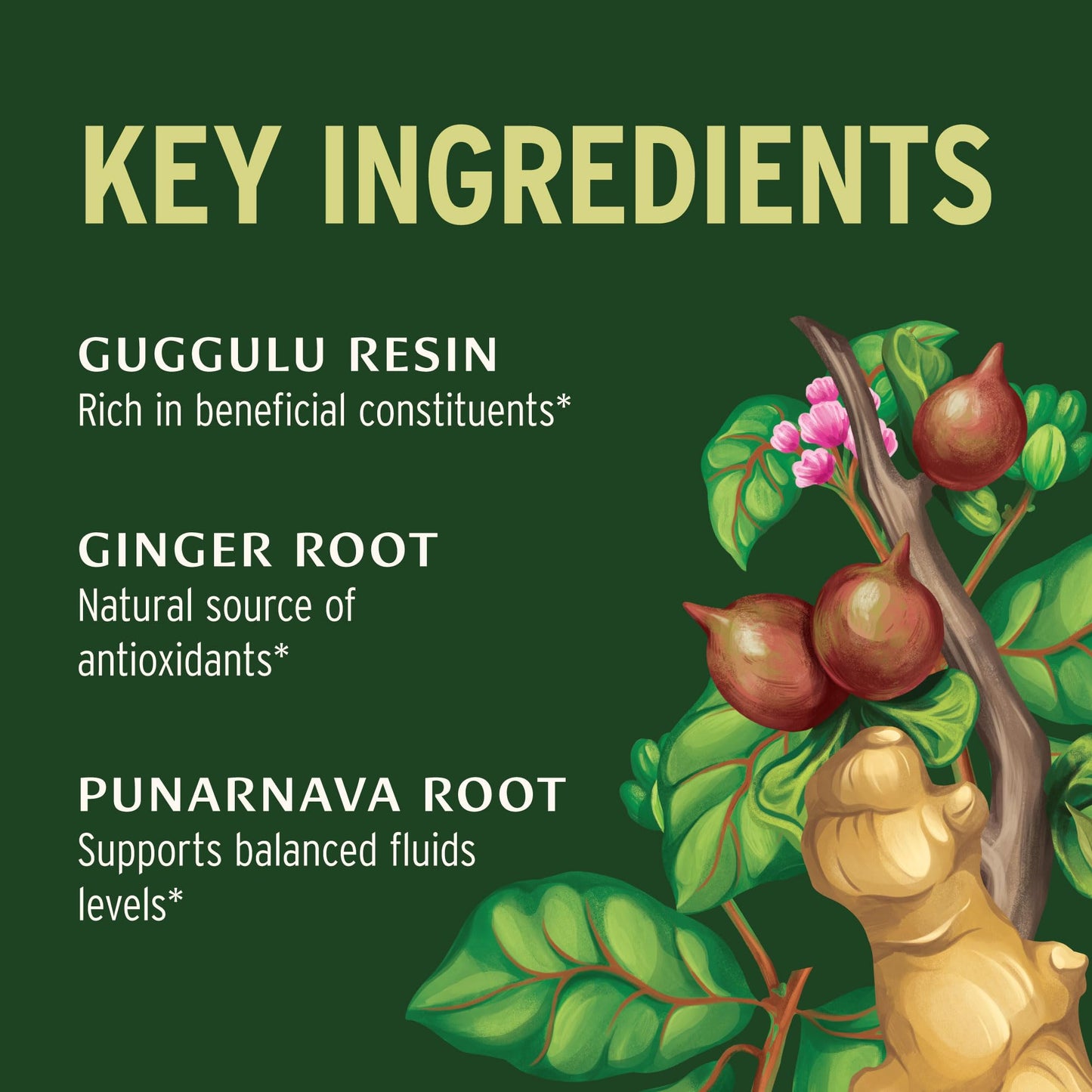 Banyan Botanicals Punarnavadi Guggulu Tablets 90