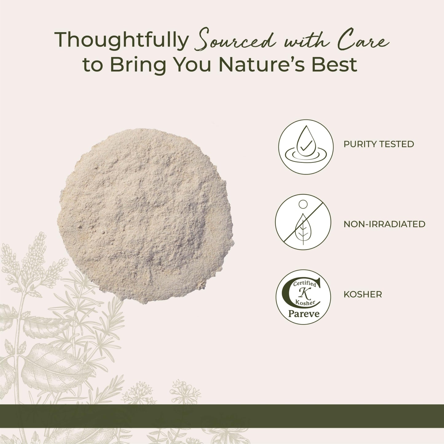 Starwest Botanicals Astragalus Root Powder, 1 Count