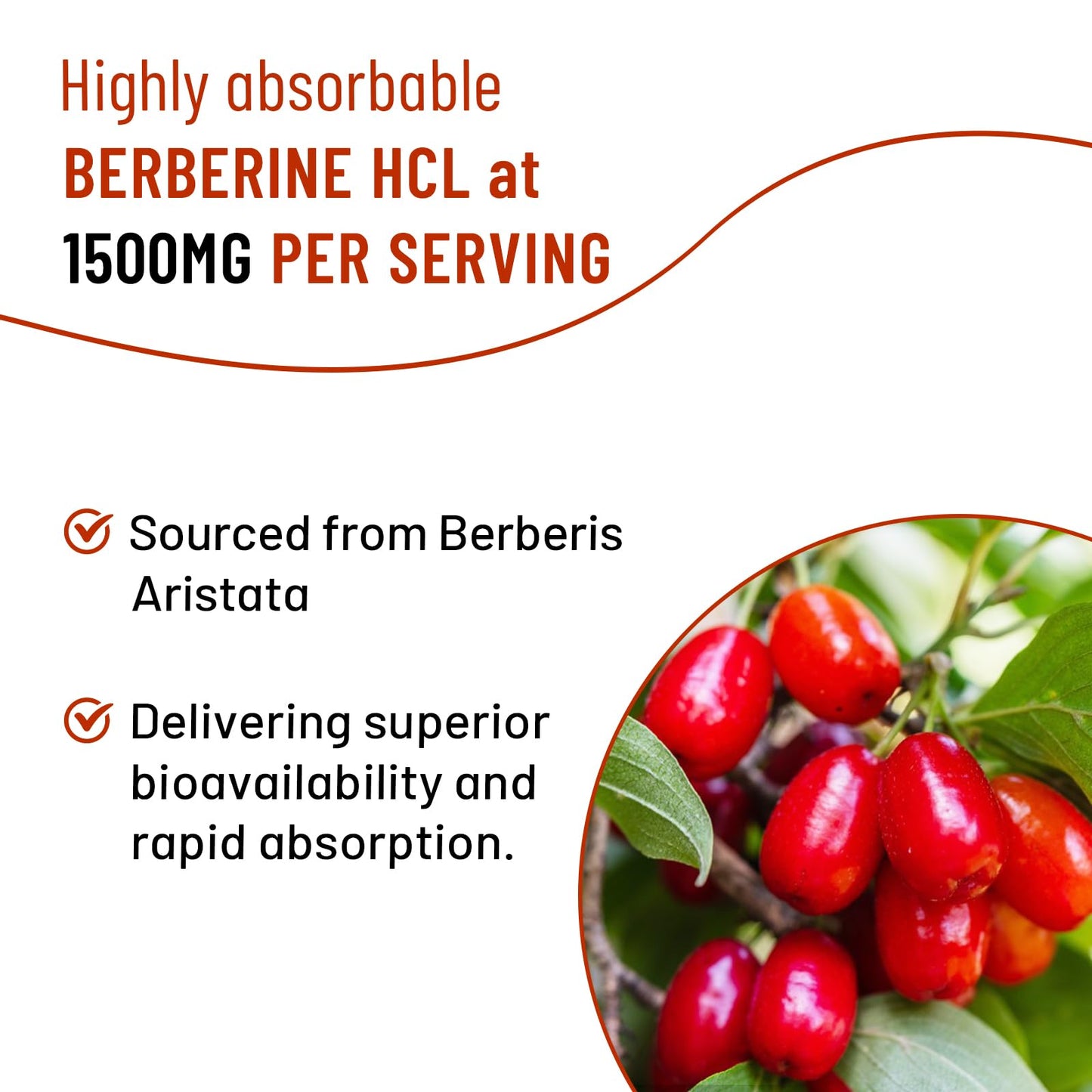 Vazatisi Berberine Gummies 1500mg, 60 Count