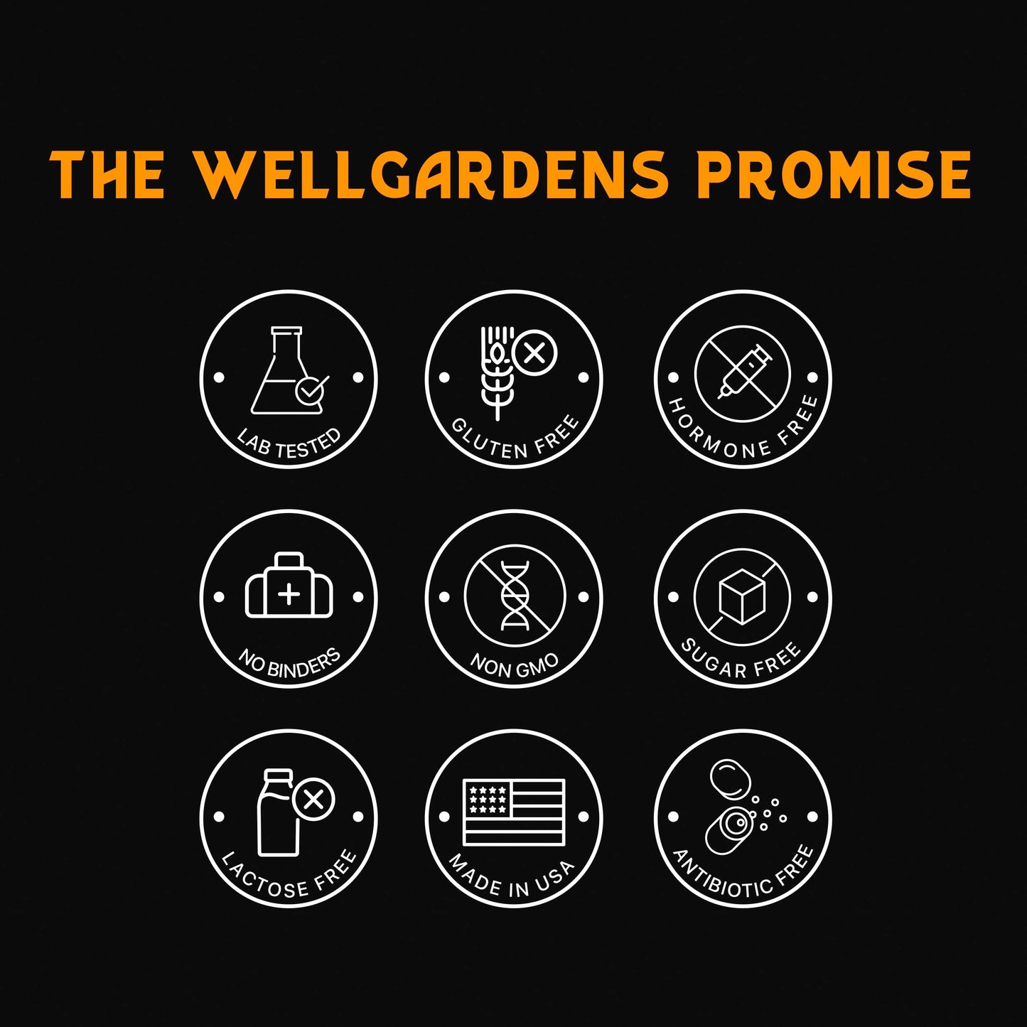 Wellgardens Brain Support Capsules 60 Count