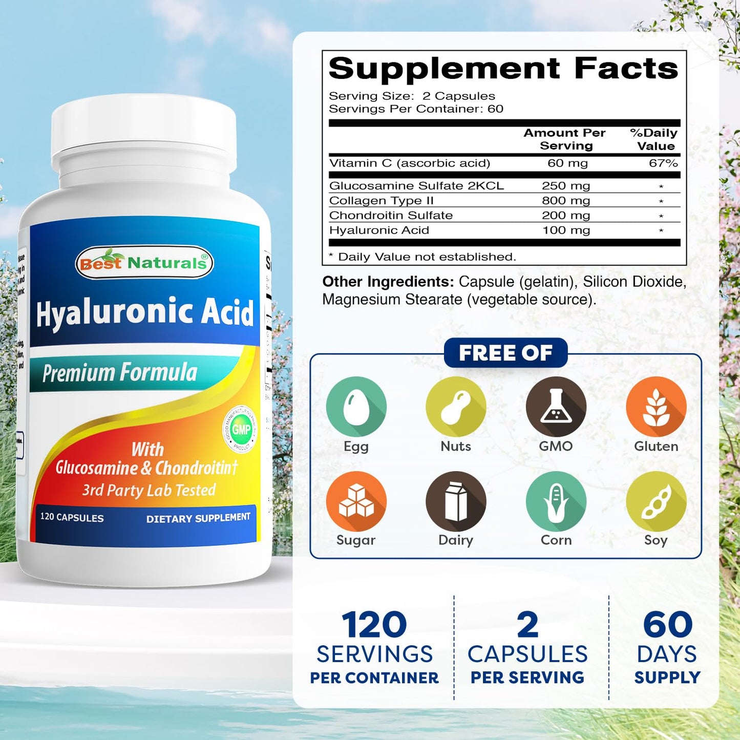 Best Naturals Hyaluronic Acid 100 mg Capsules, 240 Count