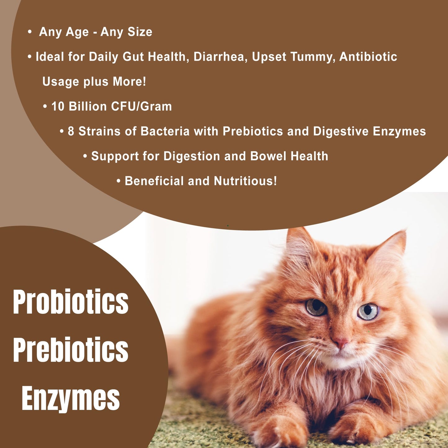 CATZYMES Probiotic Max Powder 8