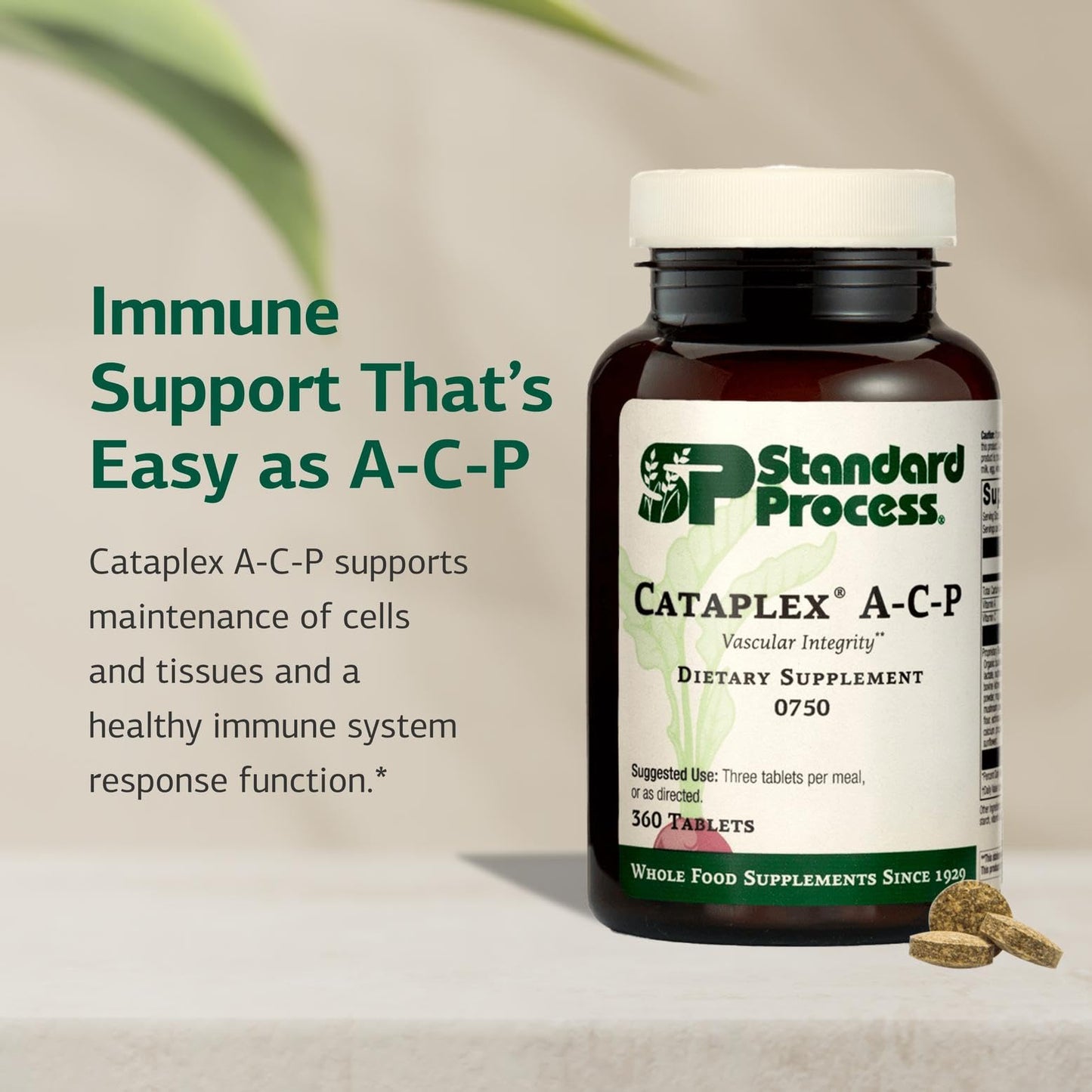 Standard Process Inc. Cataplex A-C-P Healthy Cell & Tissue Dietary Supplement - Non-Dairy & Non-Soy - Vascular & Immune Supplement Care, 360 Tablets