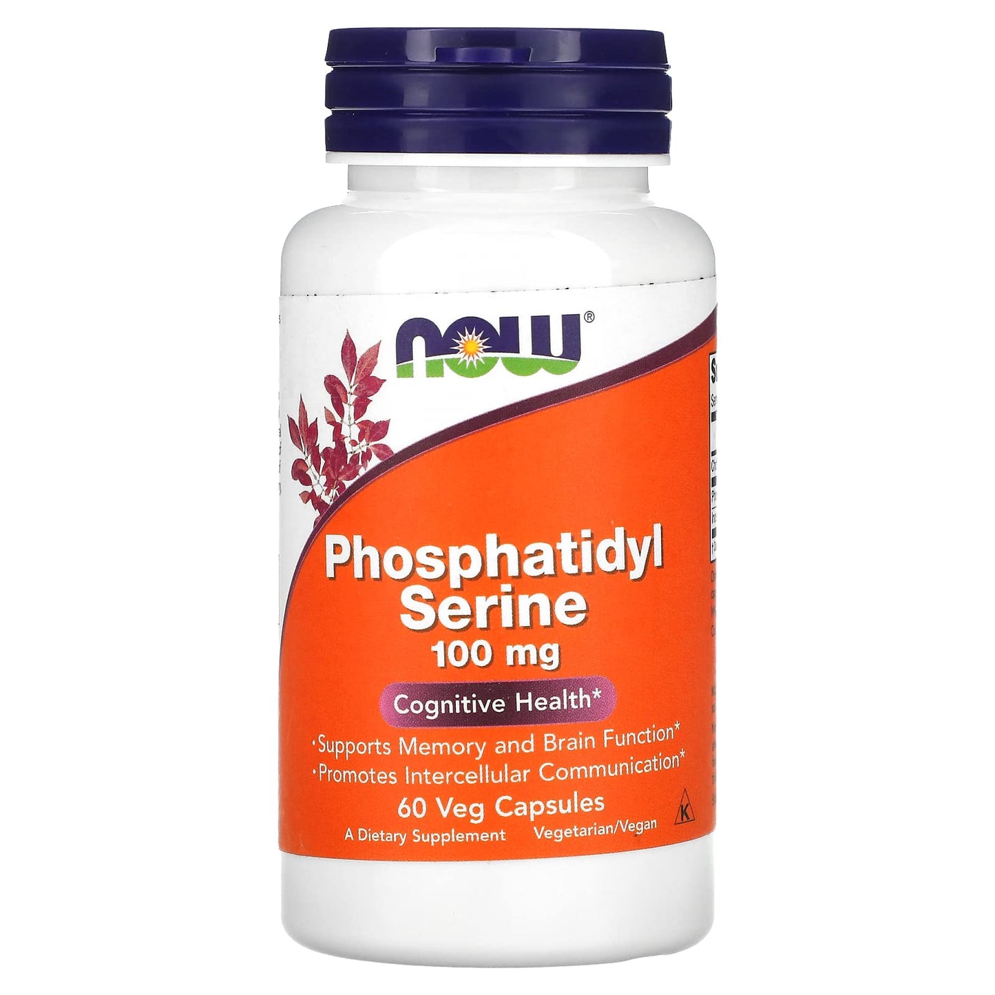 NOW Foods Phosphatidyl Serine Capsule 100 mg, 1 Capsule