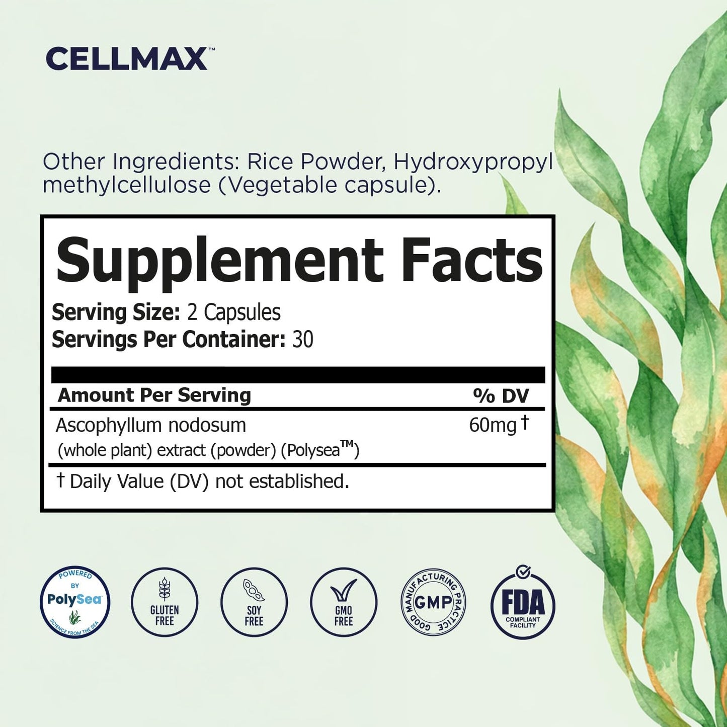 Omax3 Cellmax Healthy Aging Supplement 60 Capsules