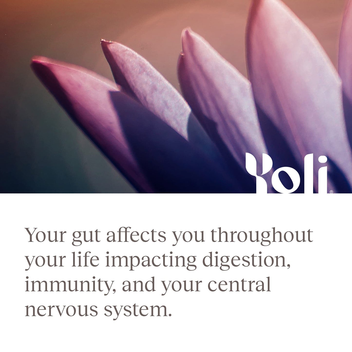 Yoli Pure Probiotics for Digestive Health, Men and Women, 1 Billion CFU 60 Capsules