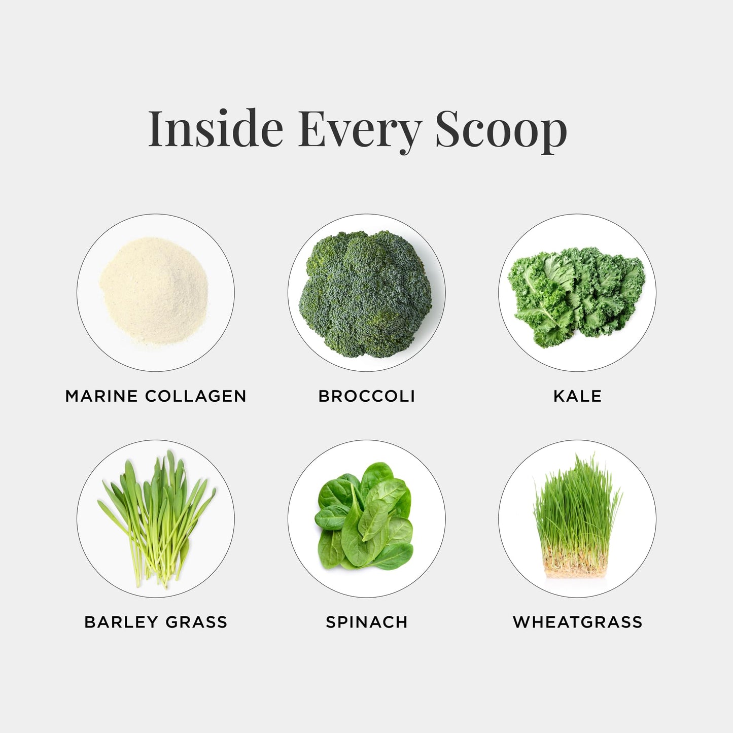 JSHealth Pure Marine Collagen Powder 195 Servings