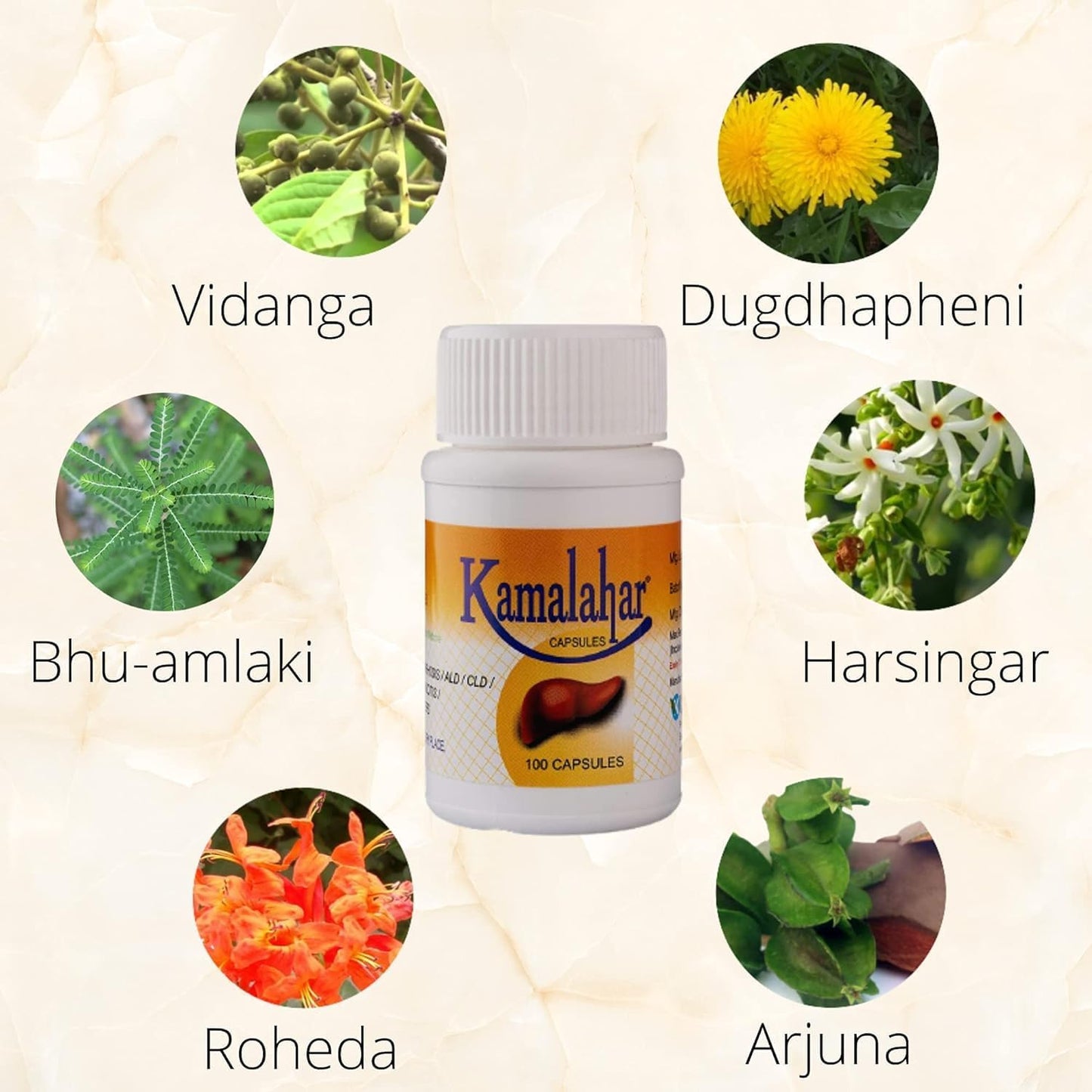 KAMALAHAR Liver Support Capsule 300
