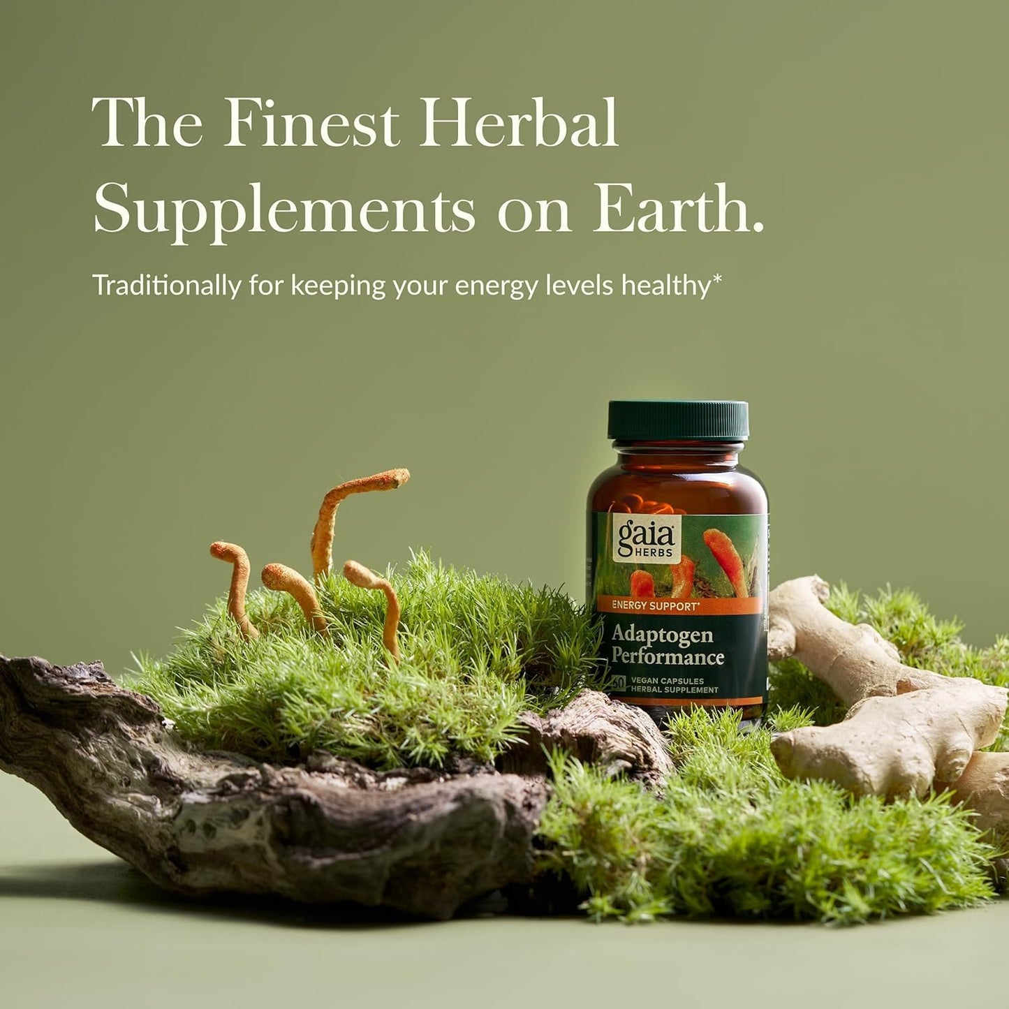 Gaia Herbs Adaptogen Performance Energy Support Supplement with Cordyceps & Ashwagandha 60 Capsules